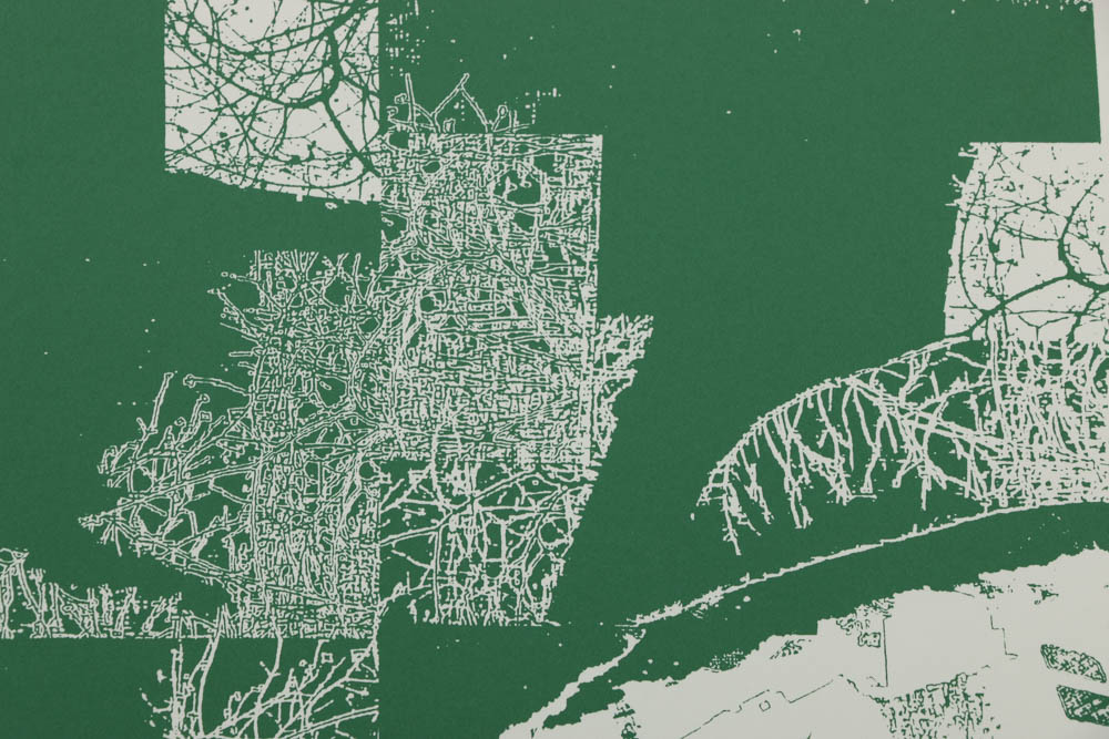 Don Werner Serigraph "Frosted Grasses-Green"