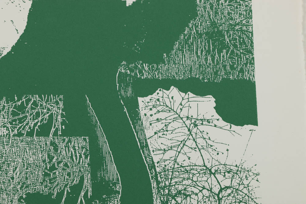 Don Werner Serigraph "Frosted Grasses-Green"