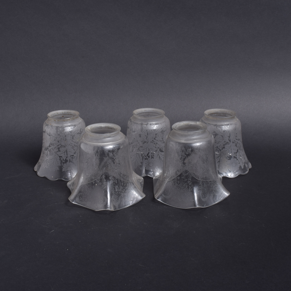 Etched Glass Light Shades