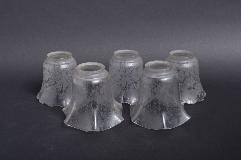 Etched Glass Light Shades