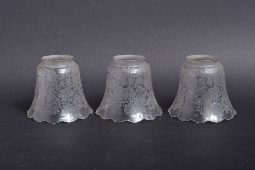 Etched Glass Light Shades