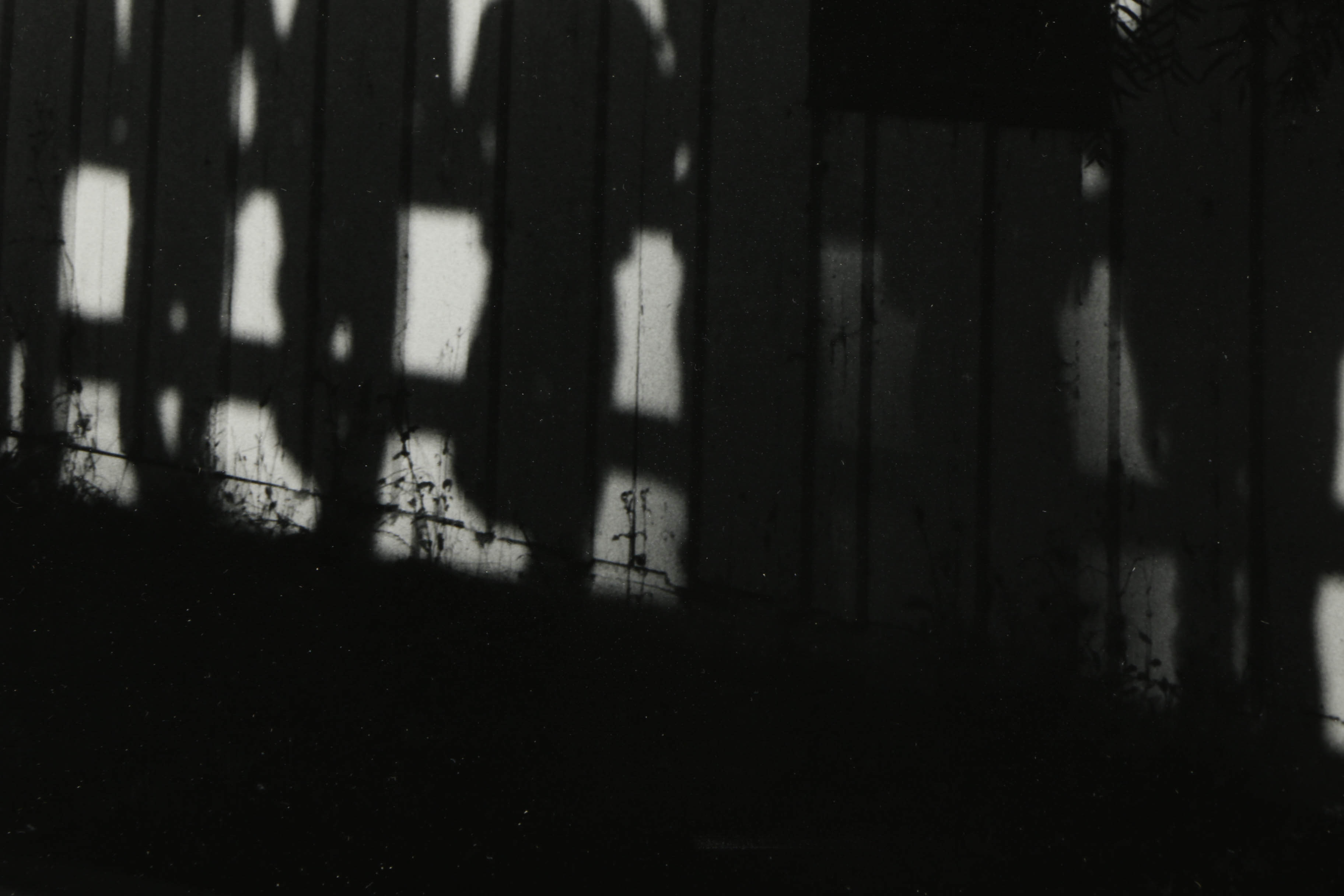 R. J. Carnahan Photograph "After the Round-up"