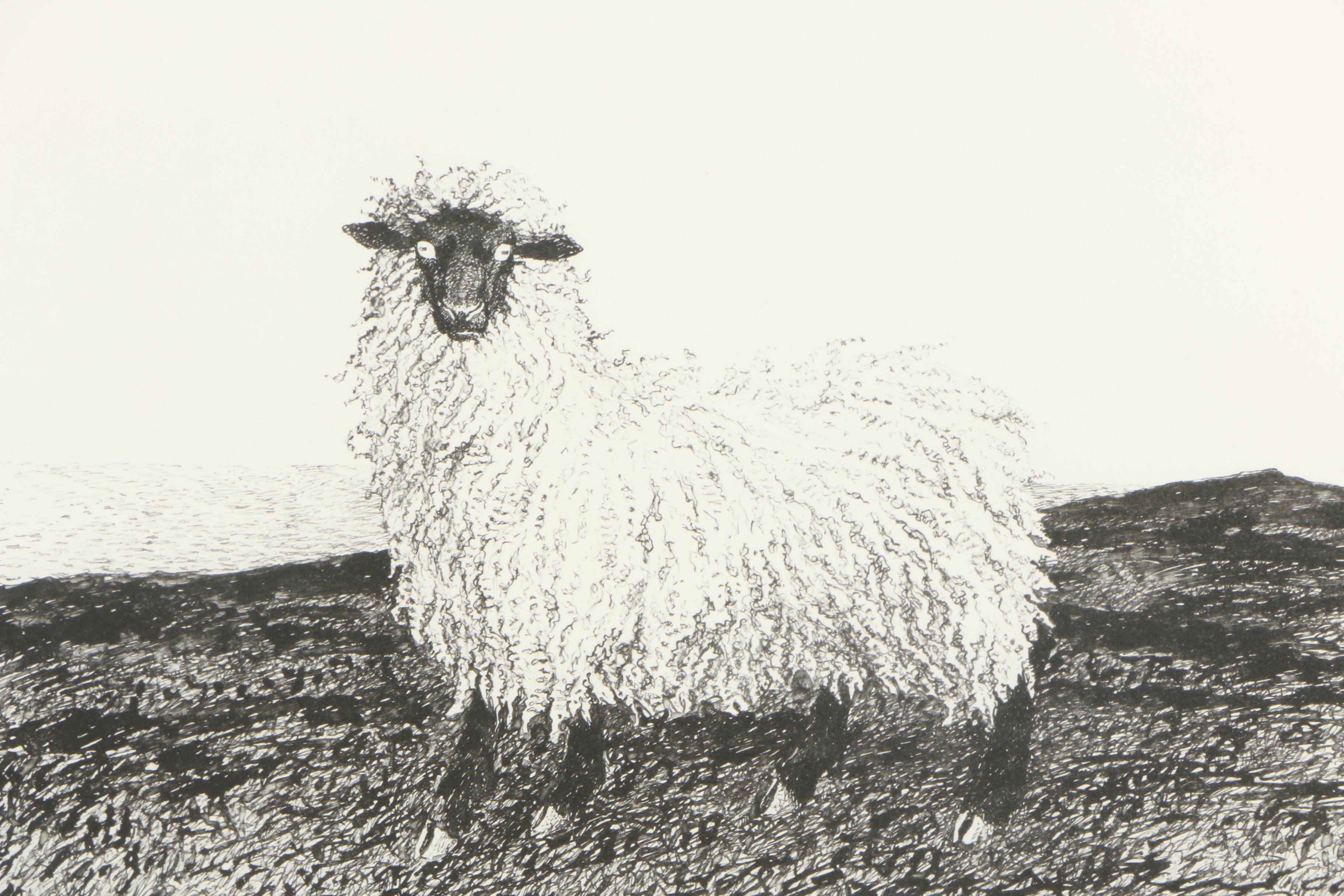 Jamie Wyeth Lithograph Print from "Portraits of Lady"