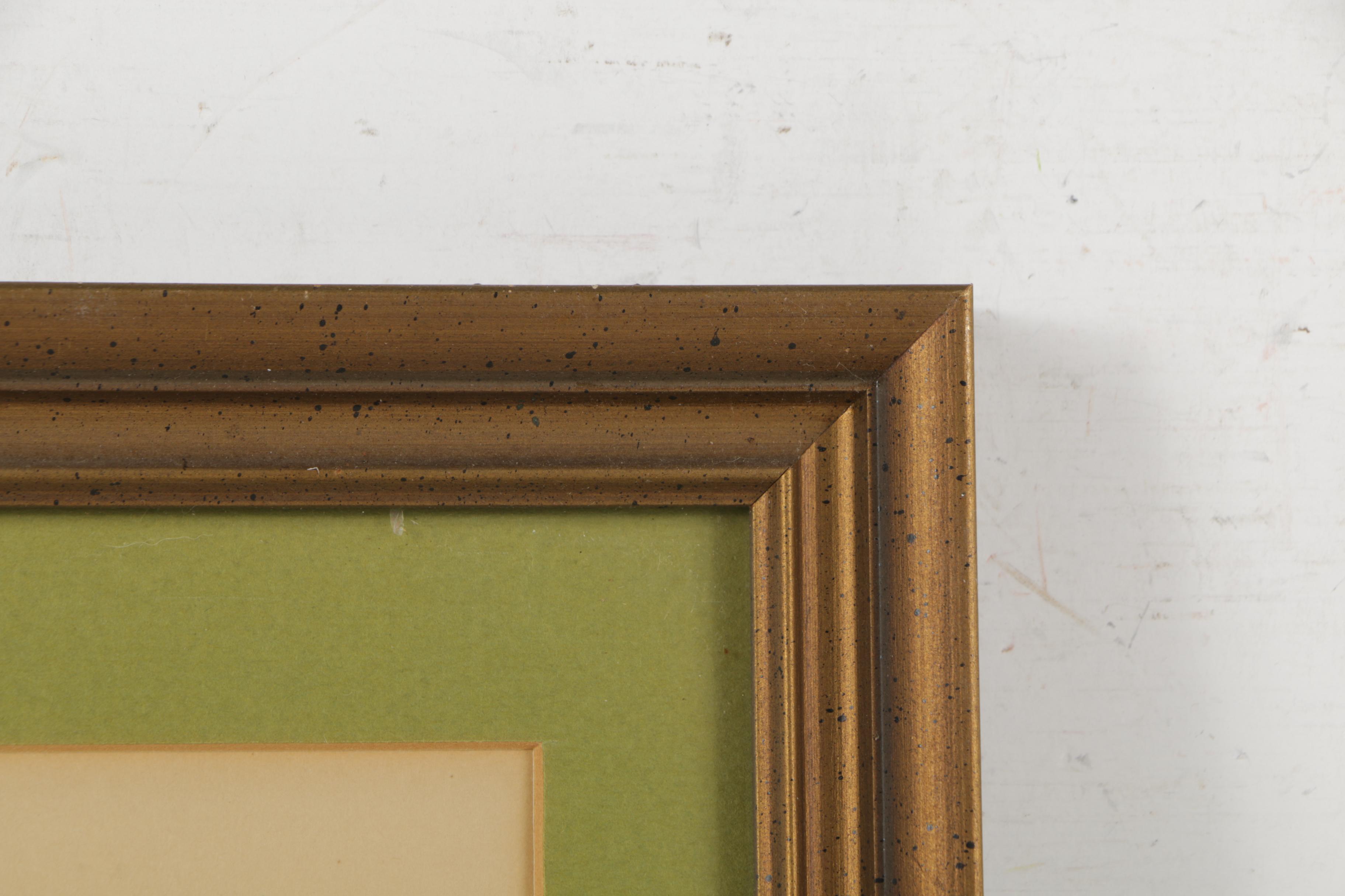 Offset Lithographs After John James Audubon