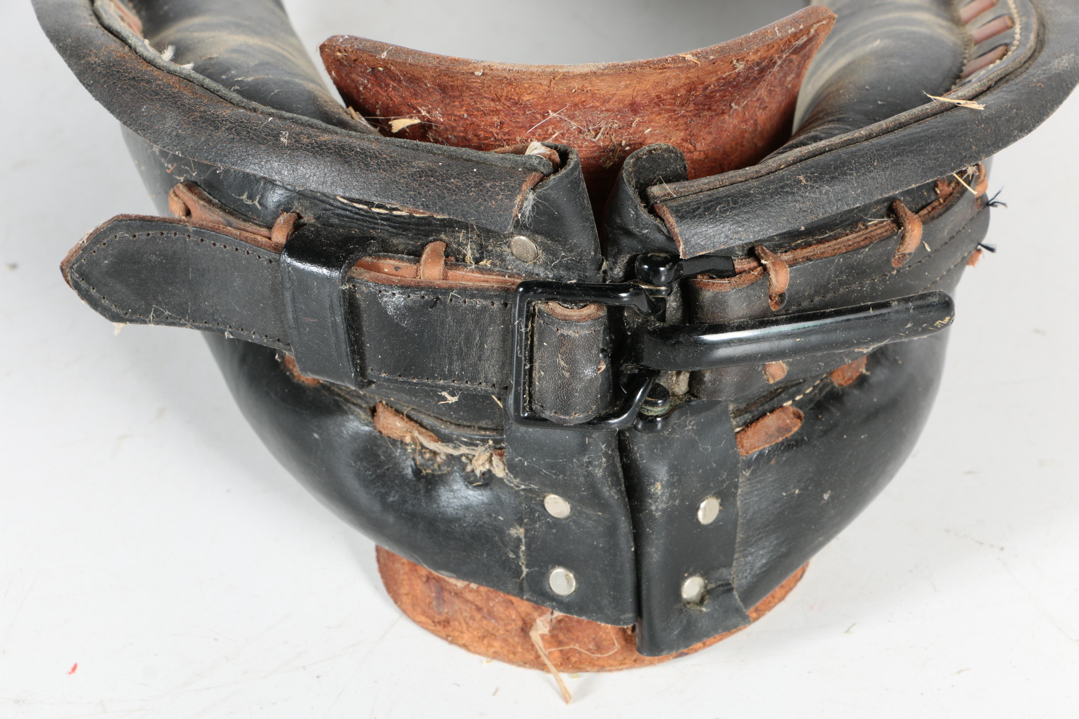 Horse Collar
