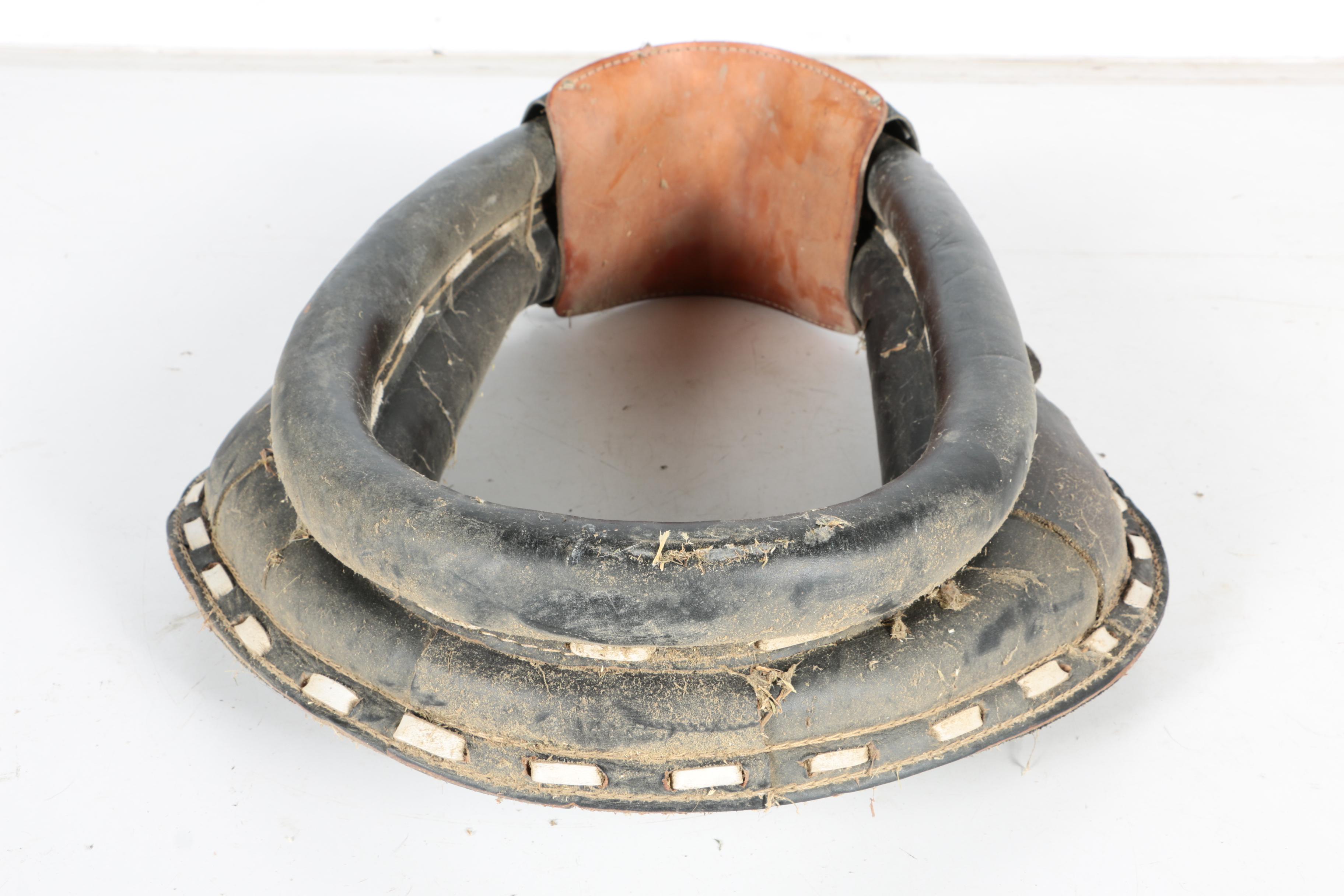 Horse Collar