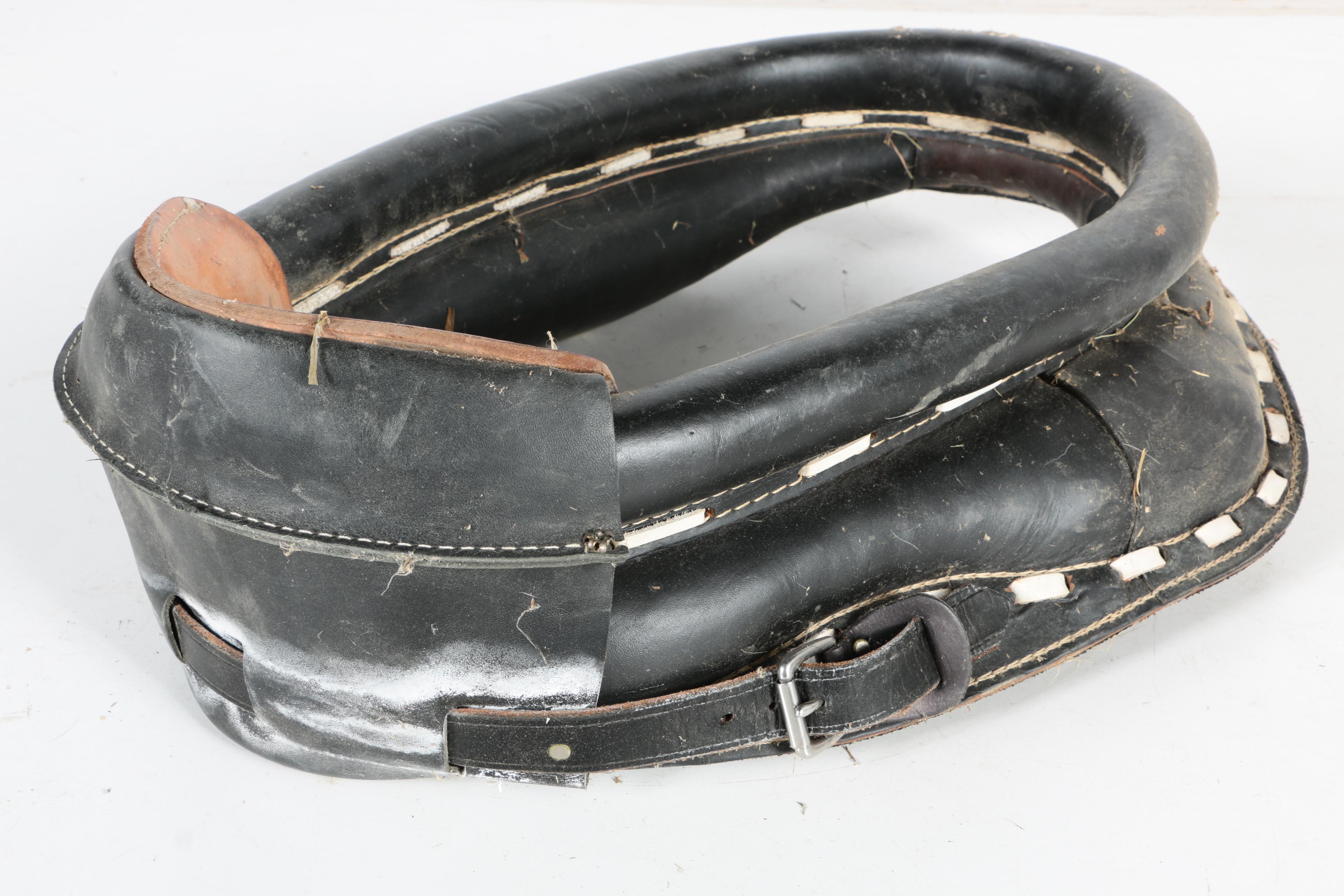 Horse Collar