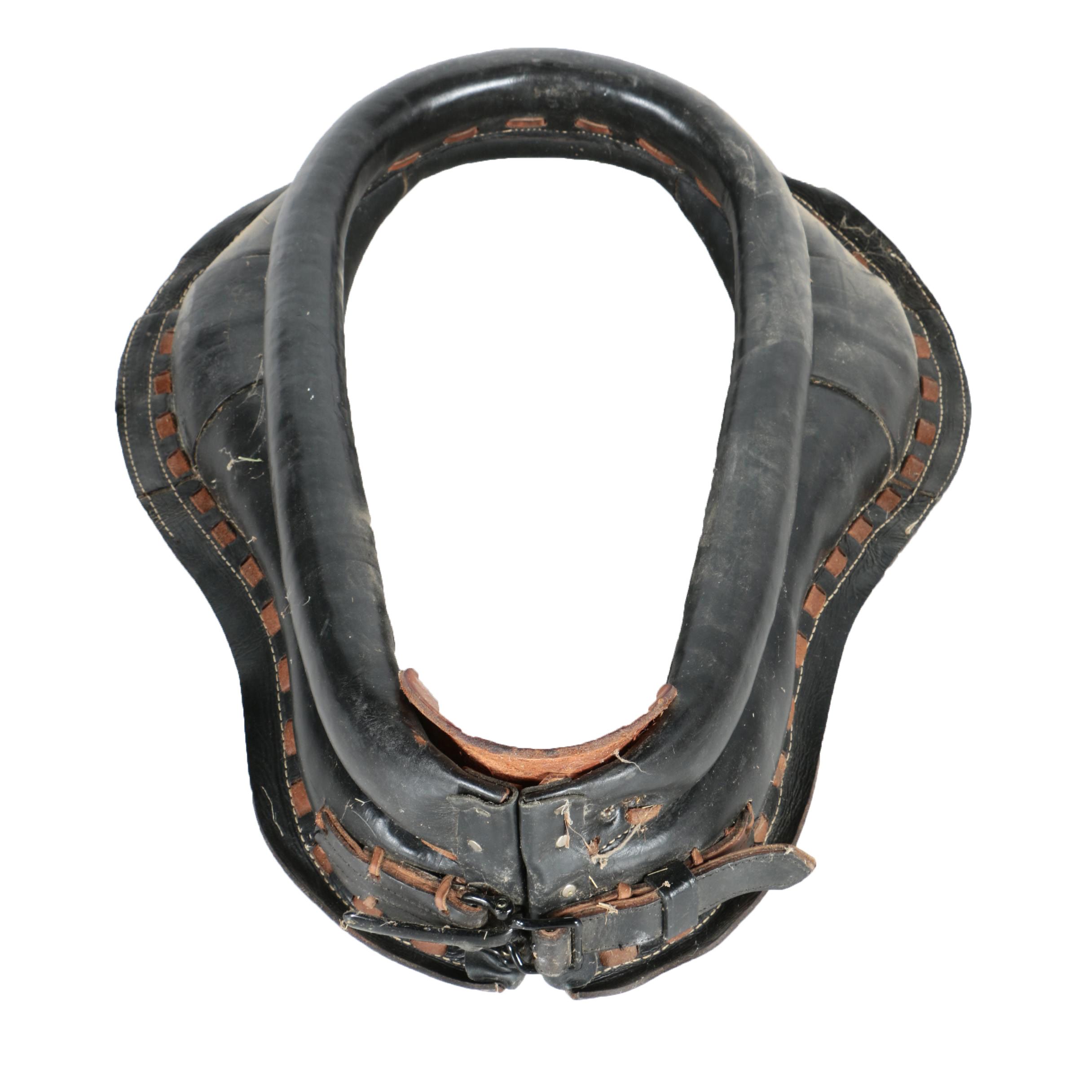 Horse Collar