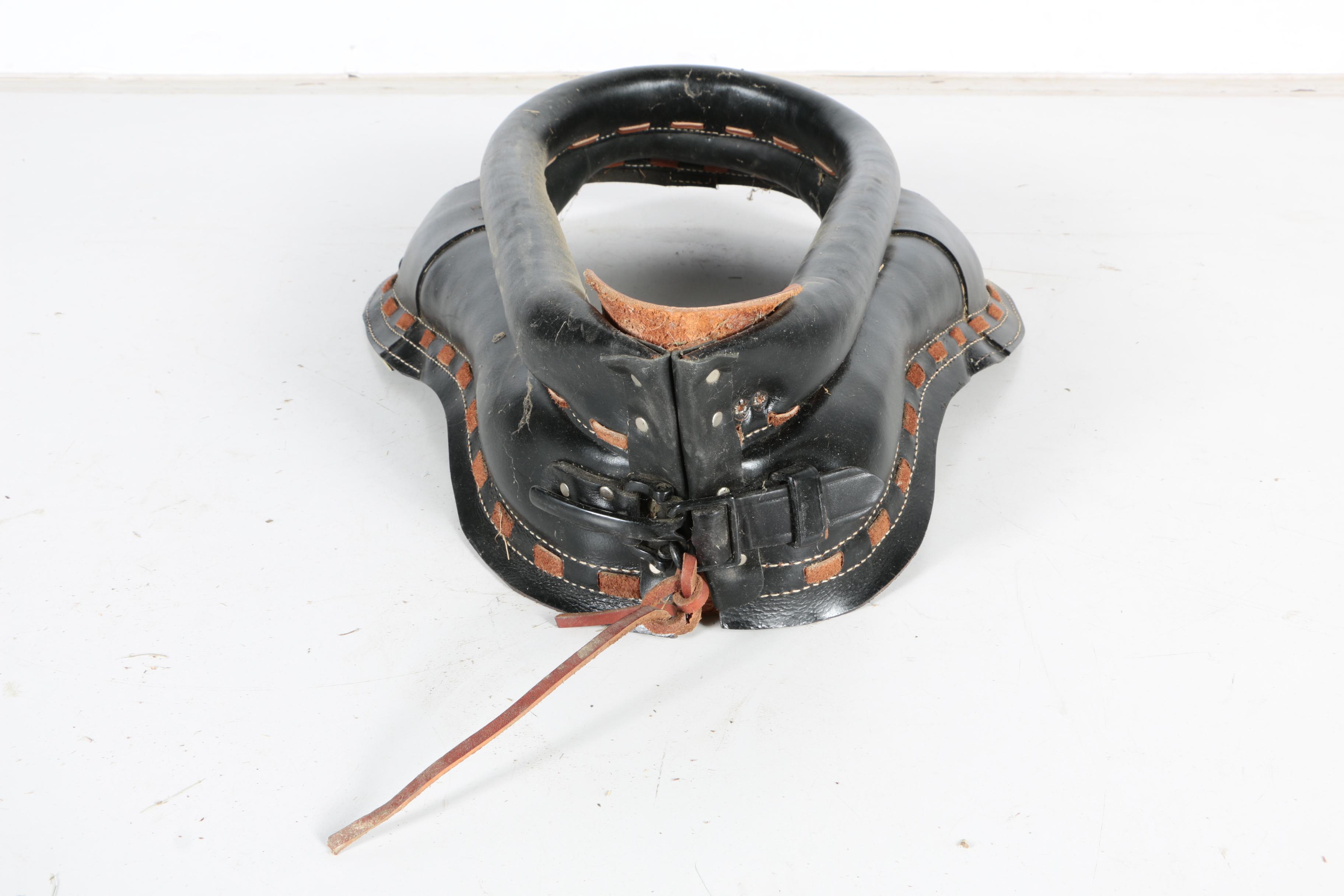 Horse Collar