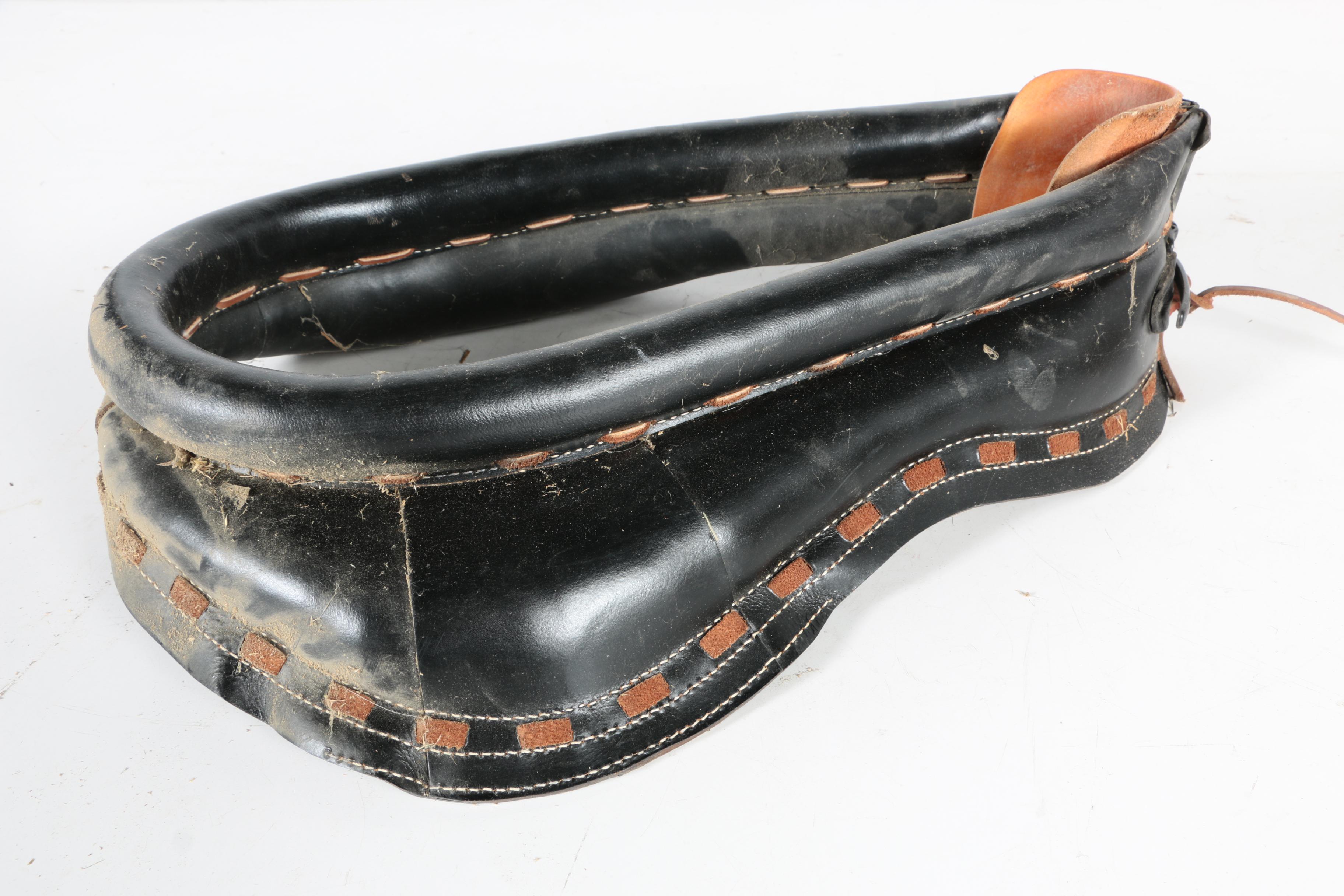 Horse Collar