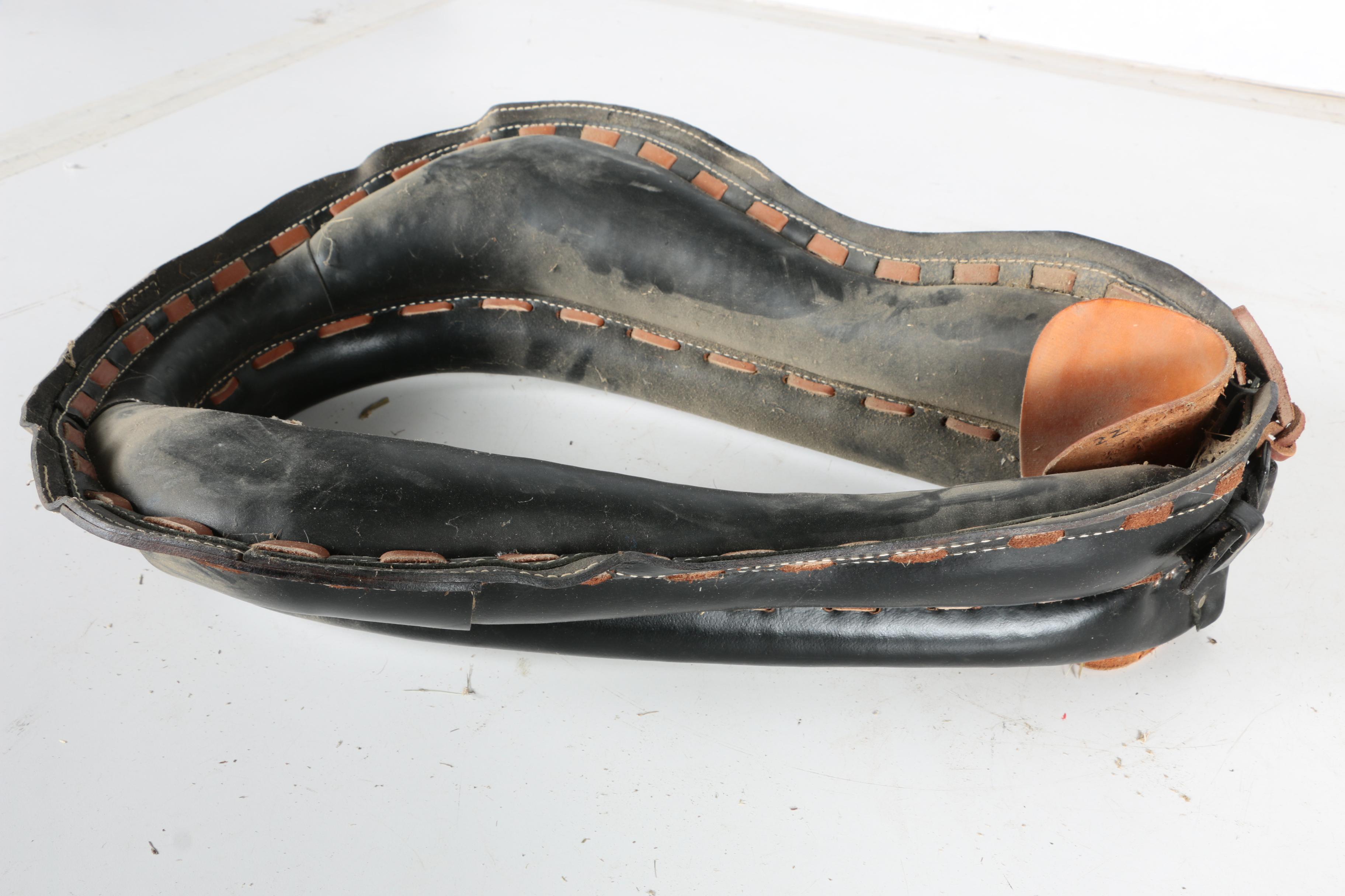 Horse Collar