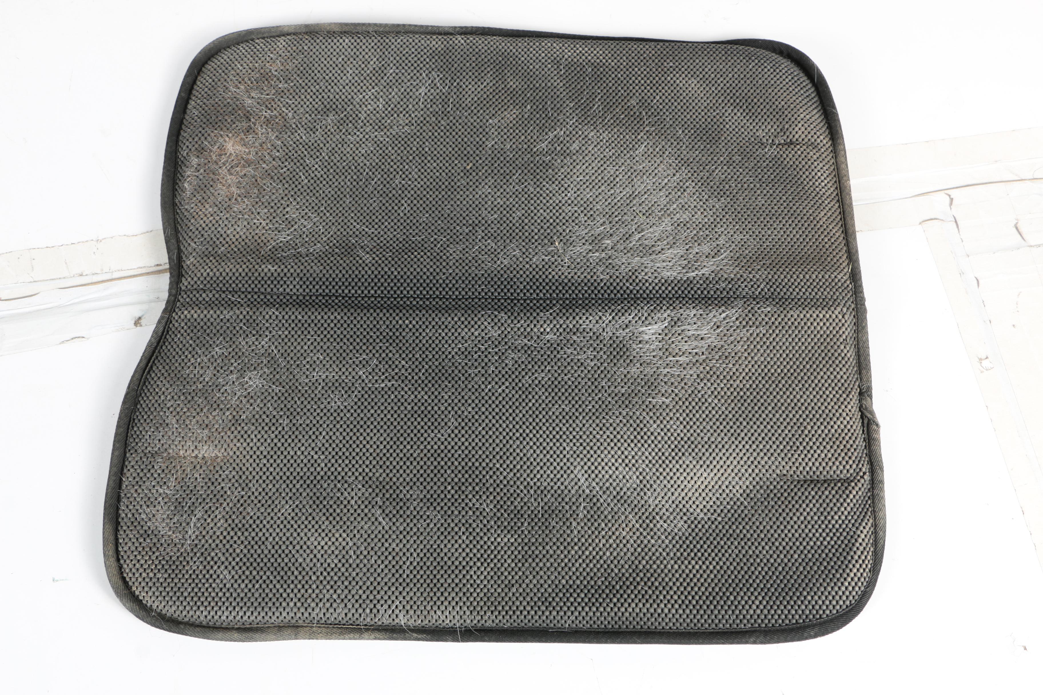 Saddle Pads and Blanket