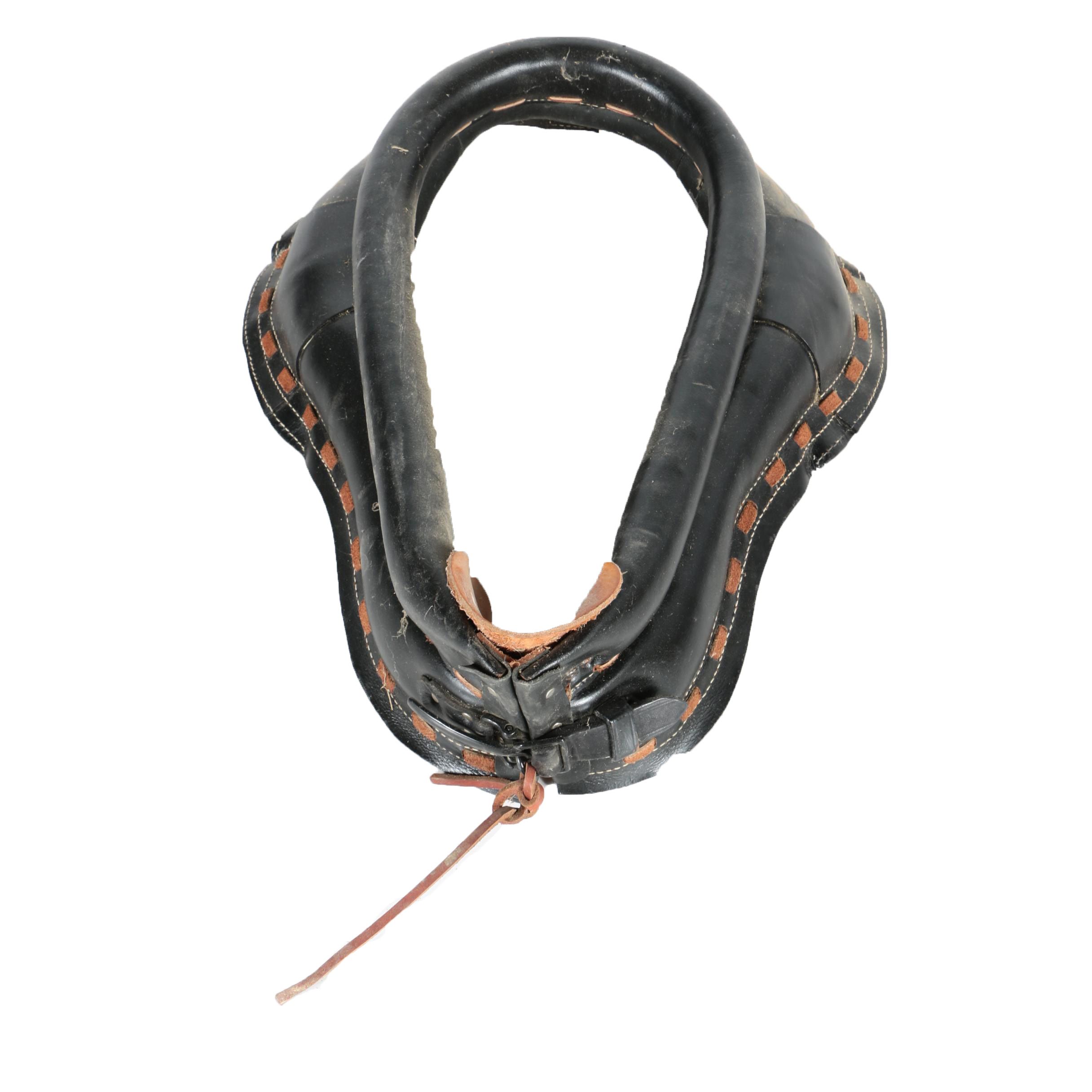 Horse Collar