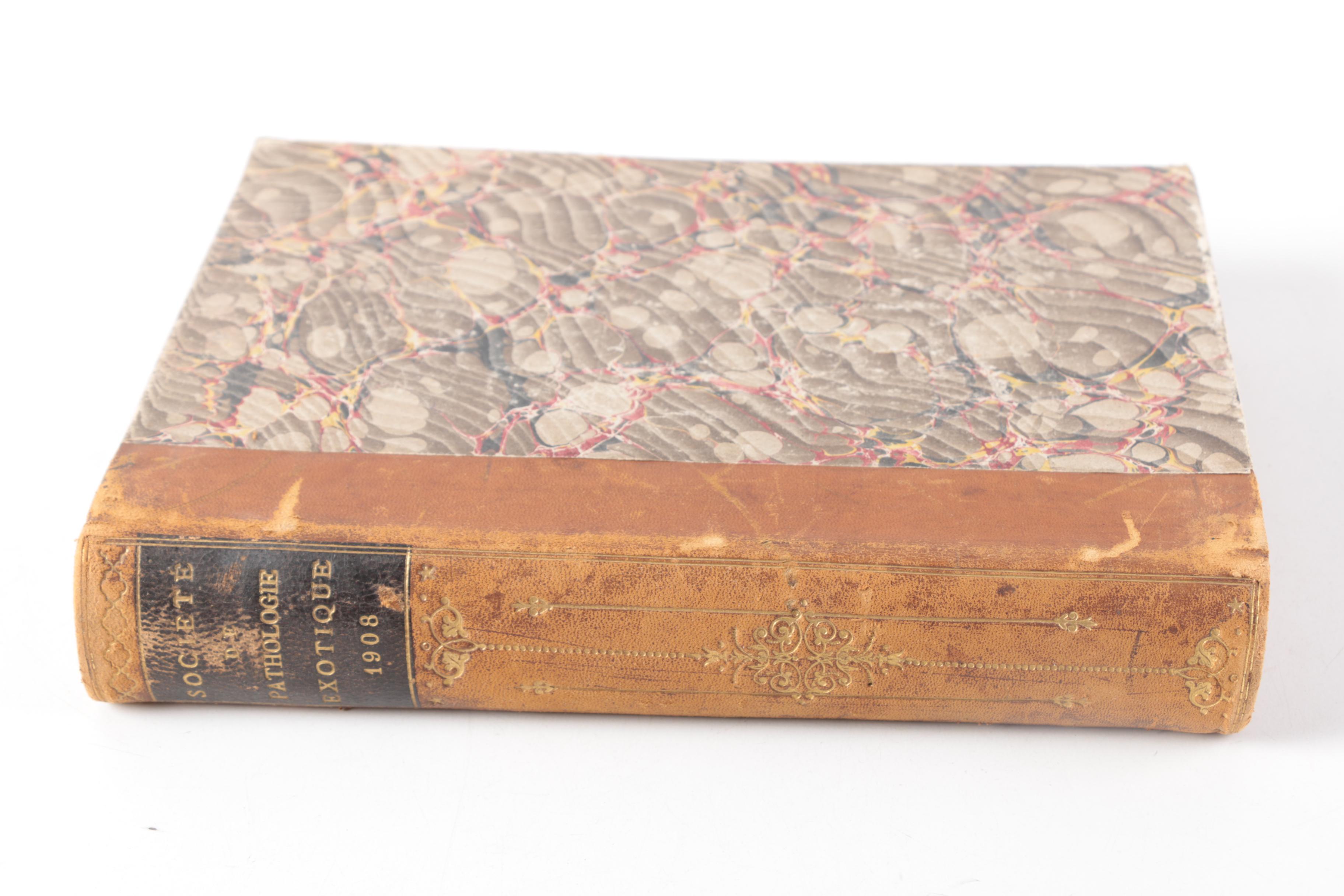 Ludwig Jost "Vorlesungen über Pflanzenphysiologie" 1904 and Other Antique Books