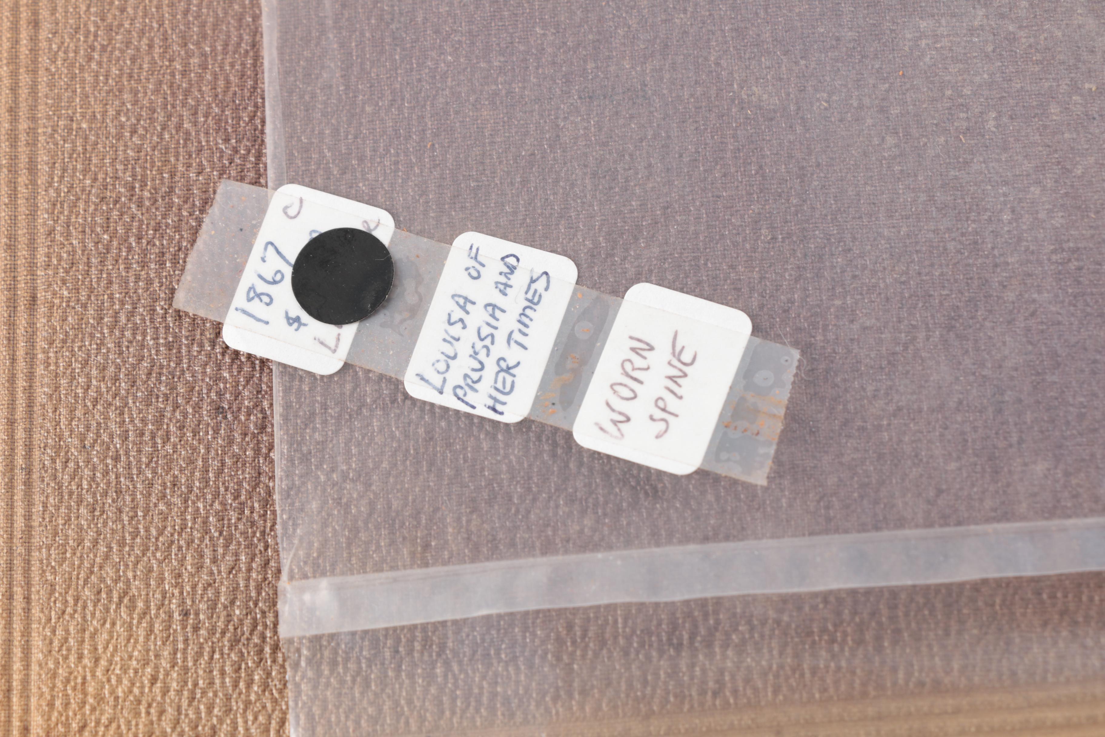 Ludwig Jost "Vorlesungen über Pflanzenphysiologie" 1904 and Other Antique Books