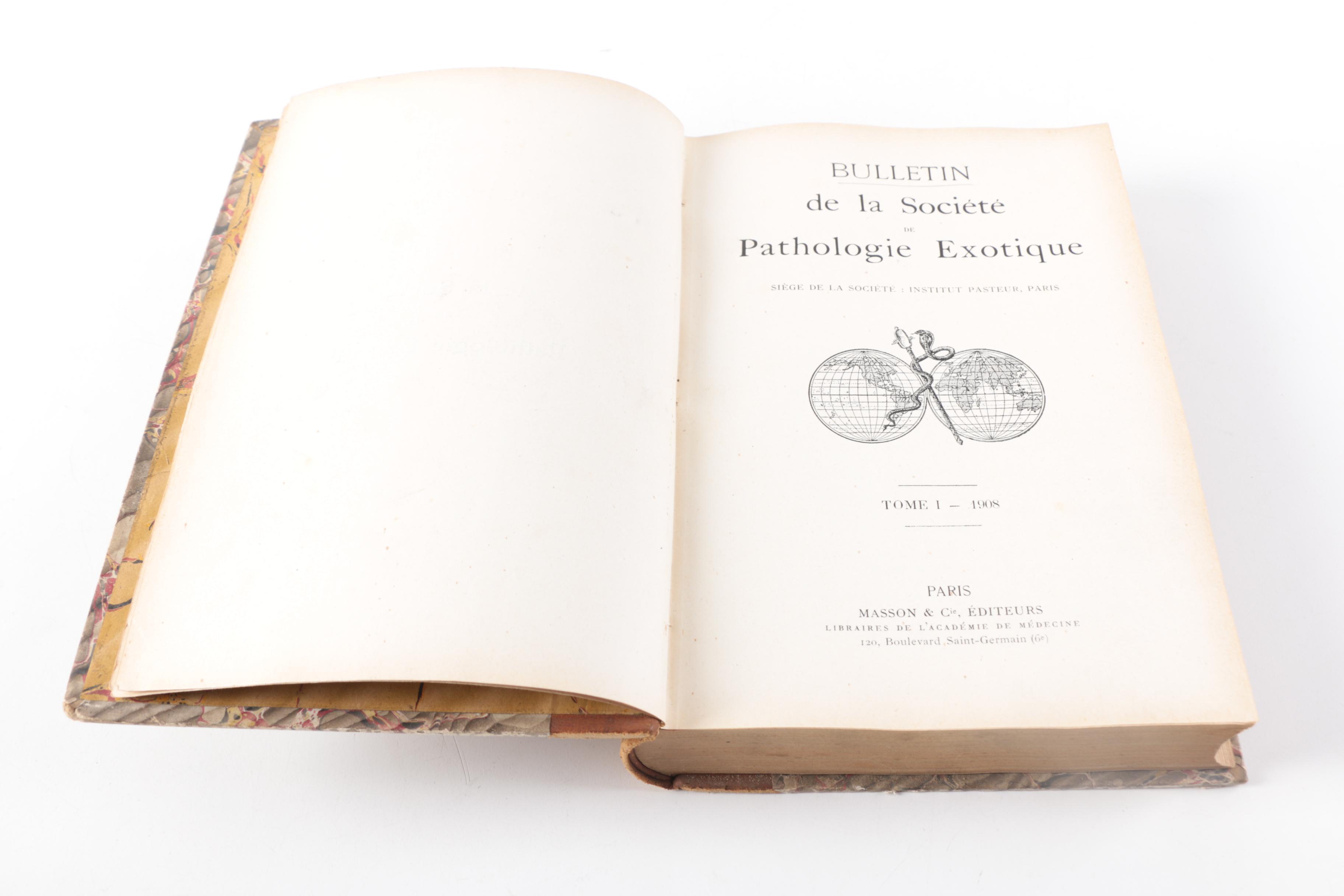 Ludwig Jost "Vorlesungen über Pflanzenphysiologie" 1904 and Other Antique Books