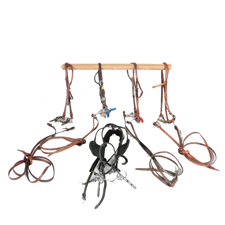 Western Equestrian Bridles and Reins