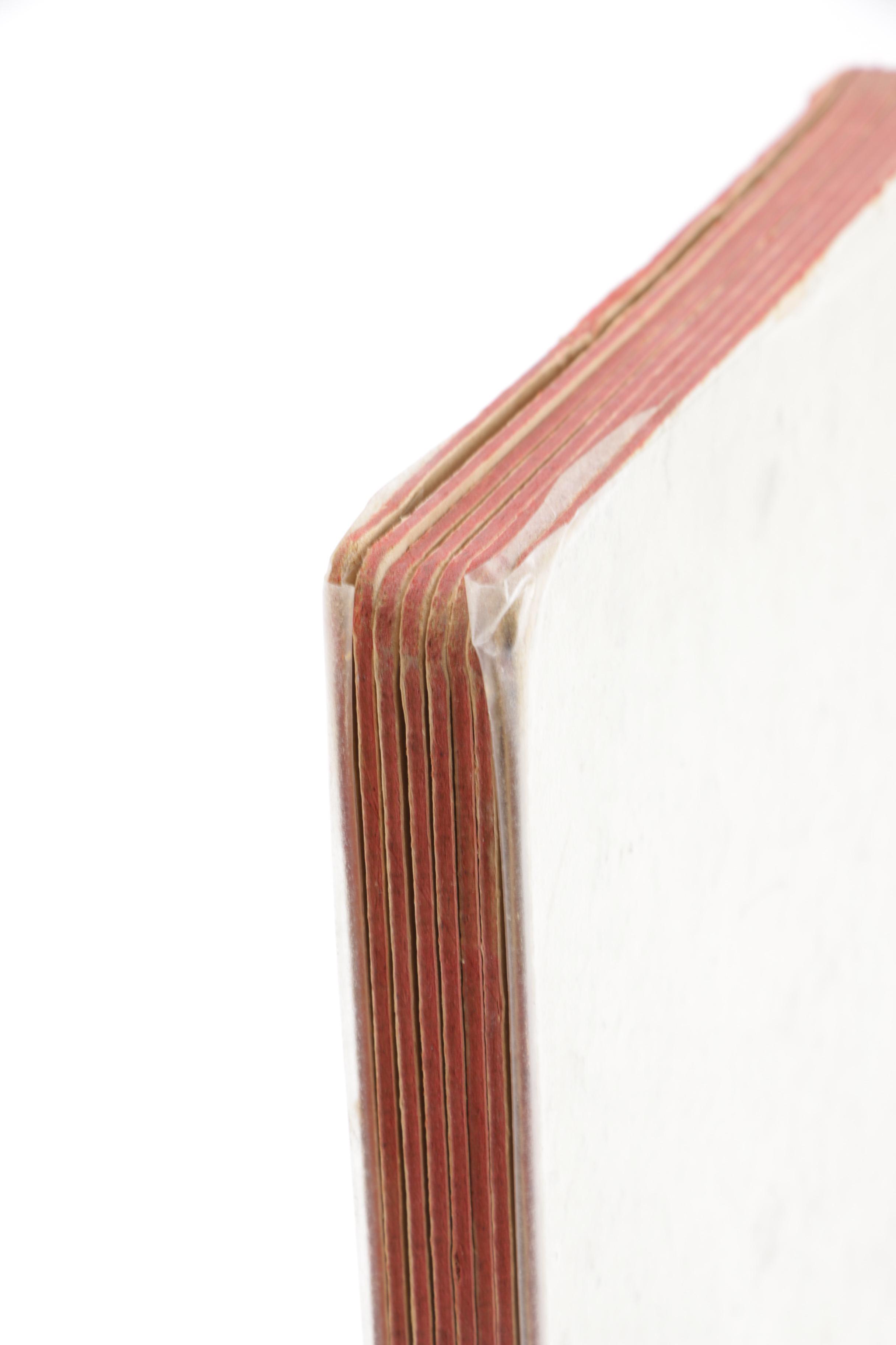 Antique "Pretty Farm Pets" by Helena Maguire Children's Book