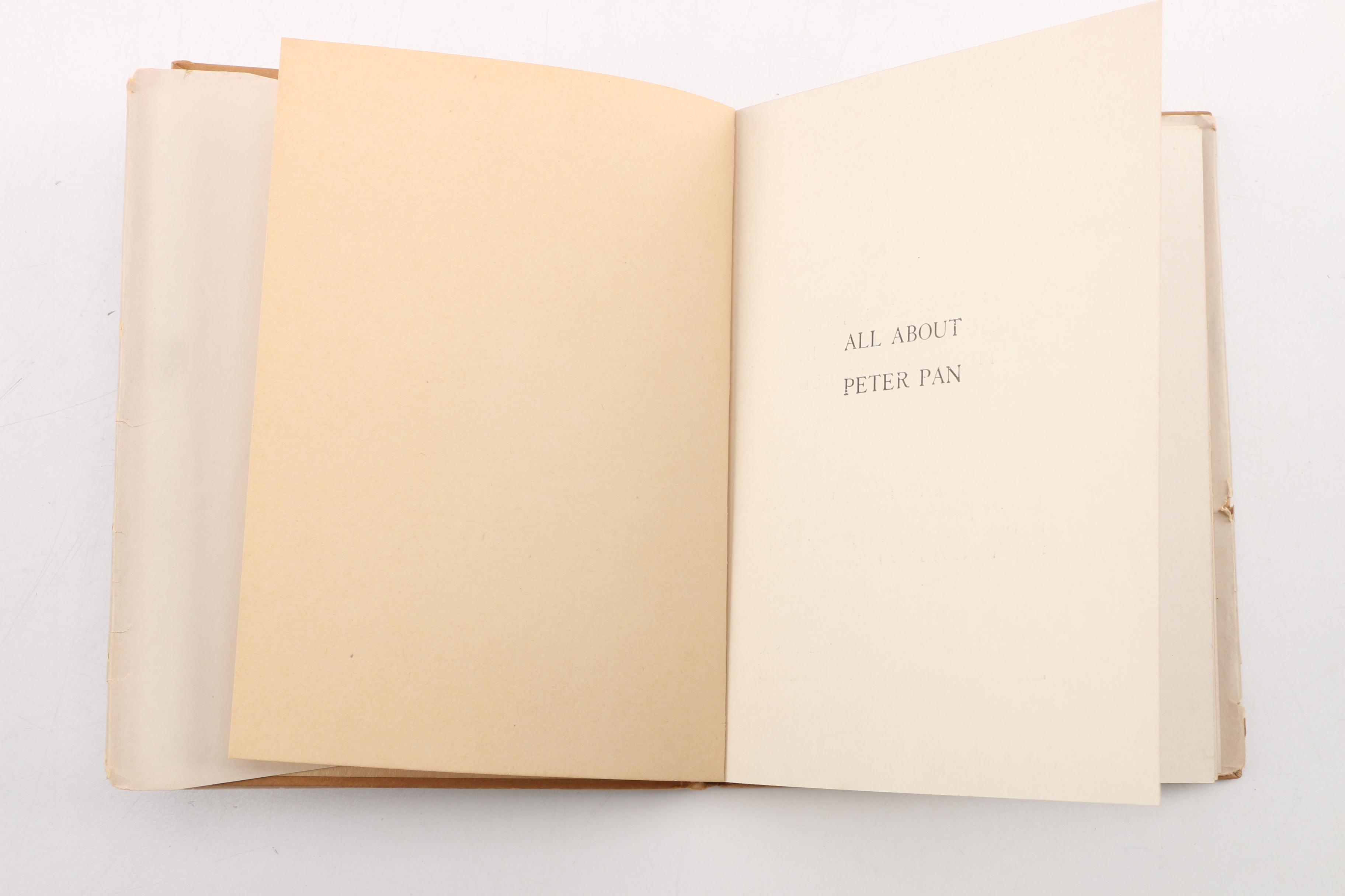 Vintage Children's Books Including "Amphigorey" by Edward Gorey