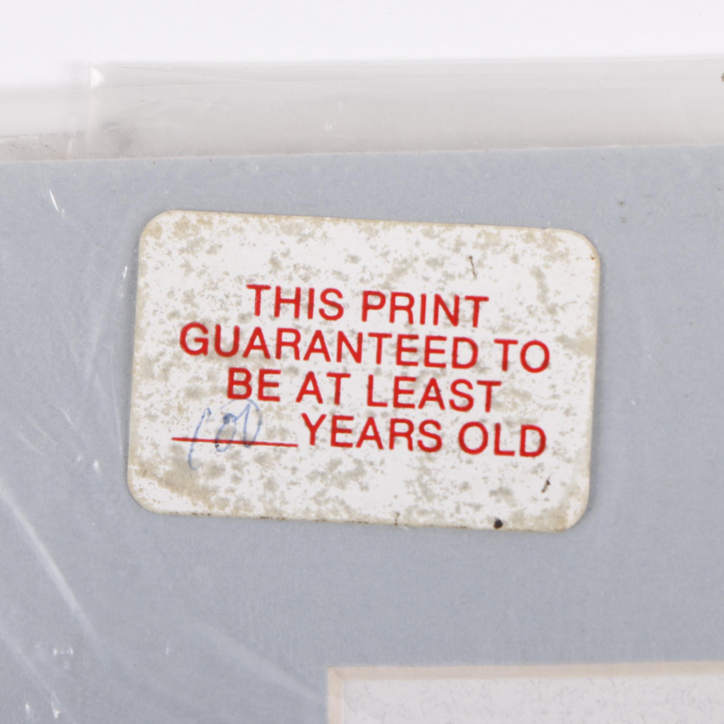 Antique Chromolithograph Portrait of Oliver Wendell Holmes