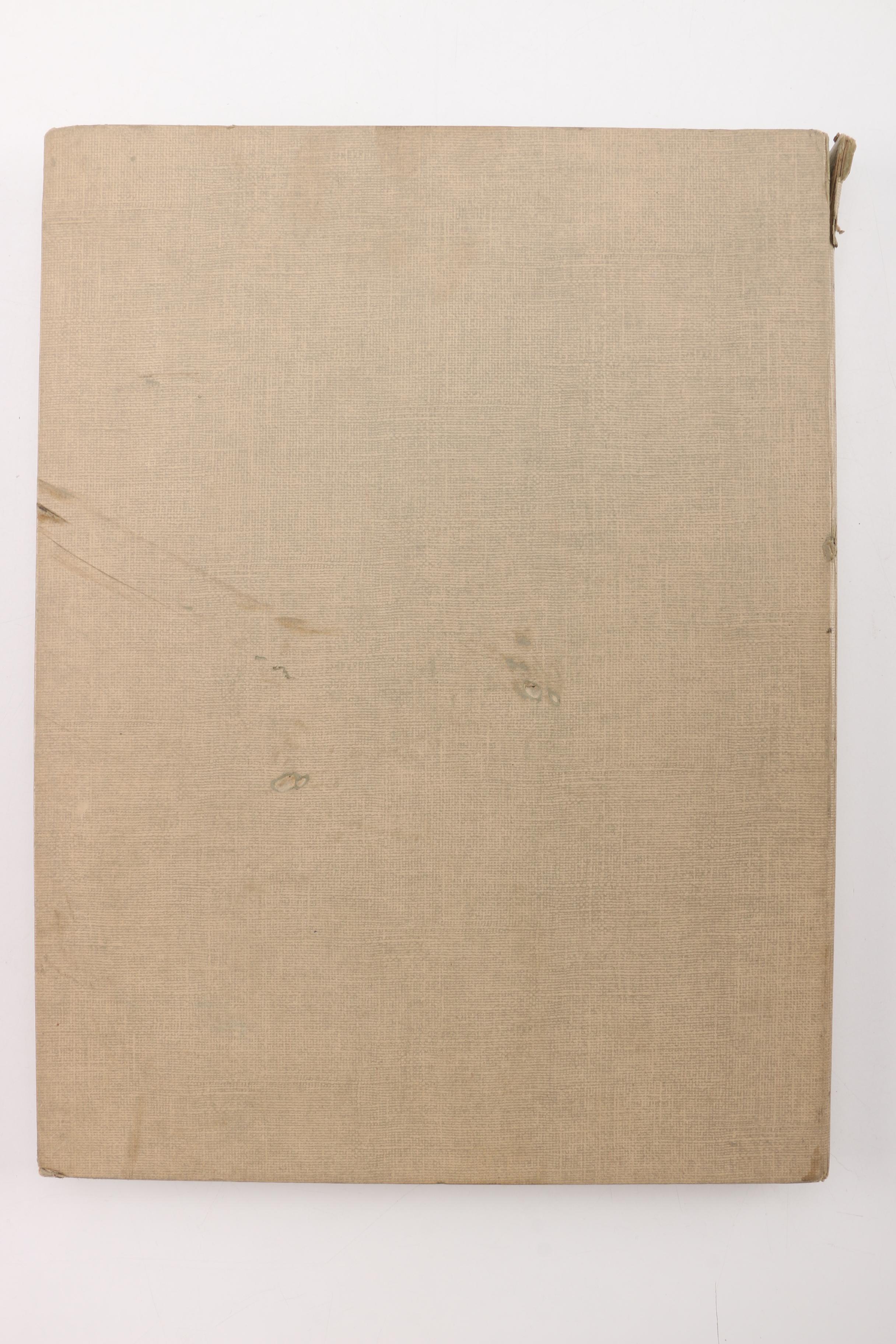 "Audubon Birds of America" and "Birds at Home"