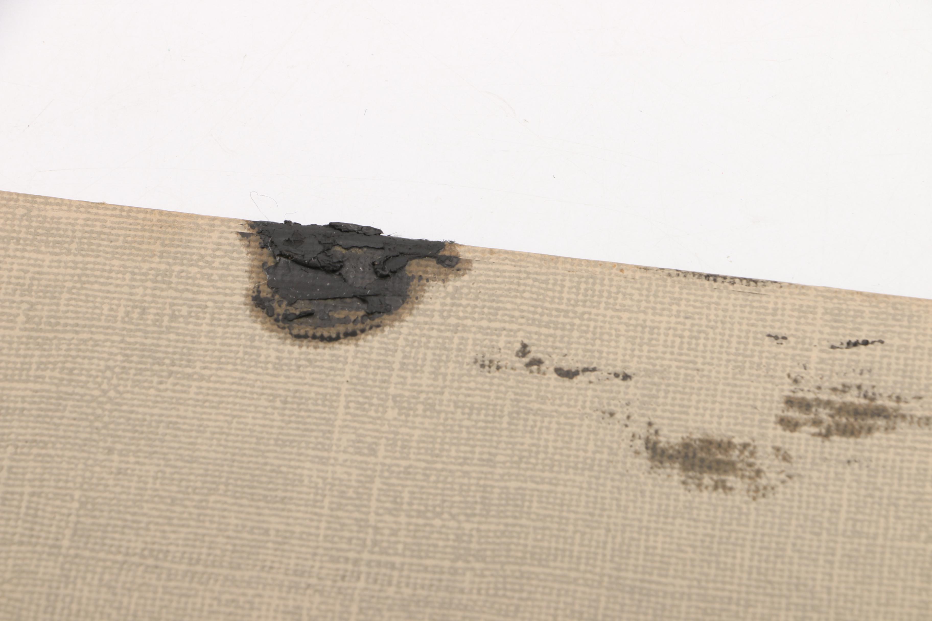 "Audubon Birds of America" and "Birds at Home"