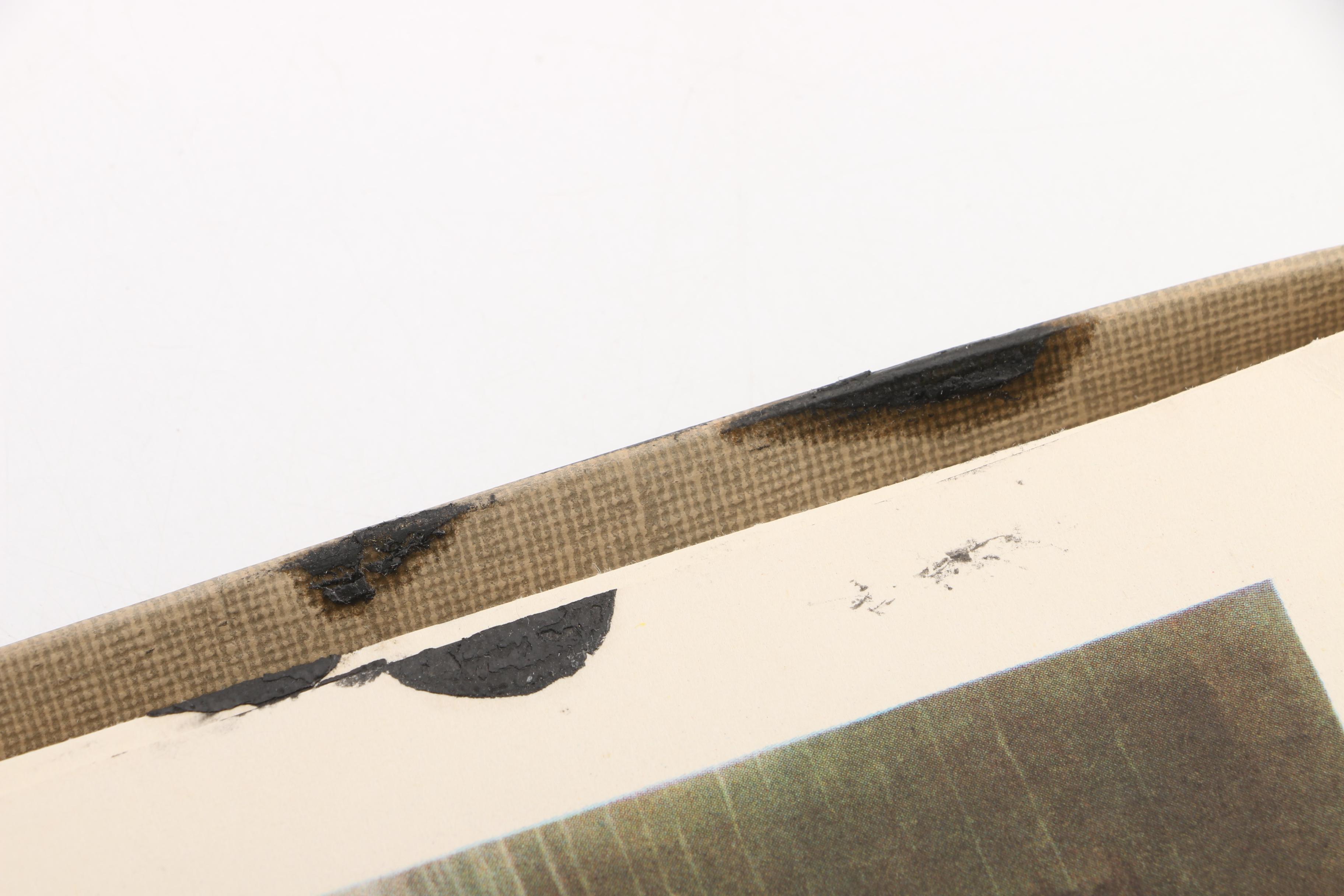 "Audubon Birds of America" and "Birds at Home"