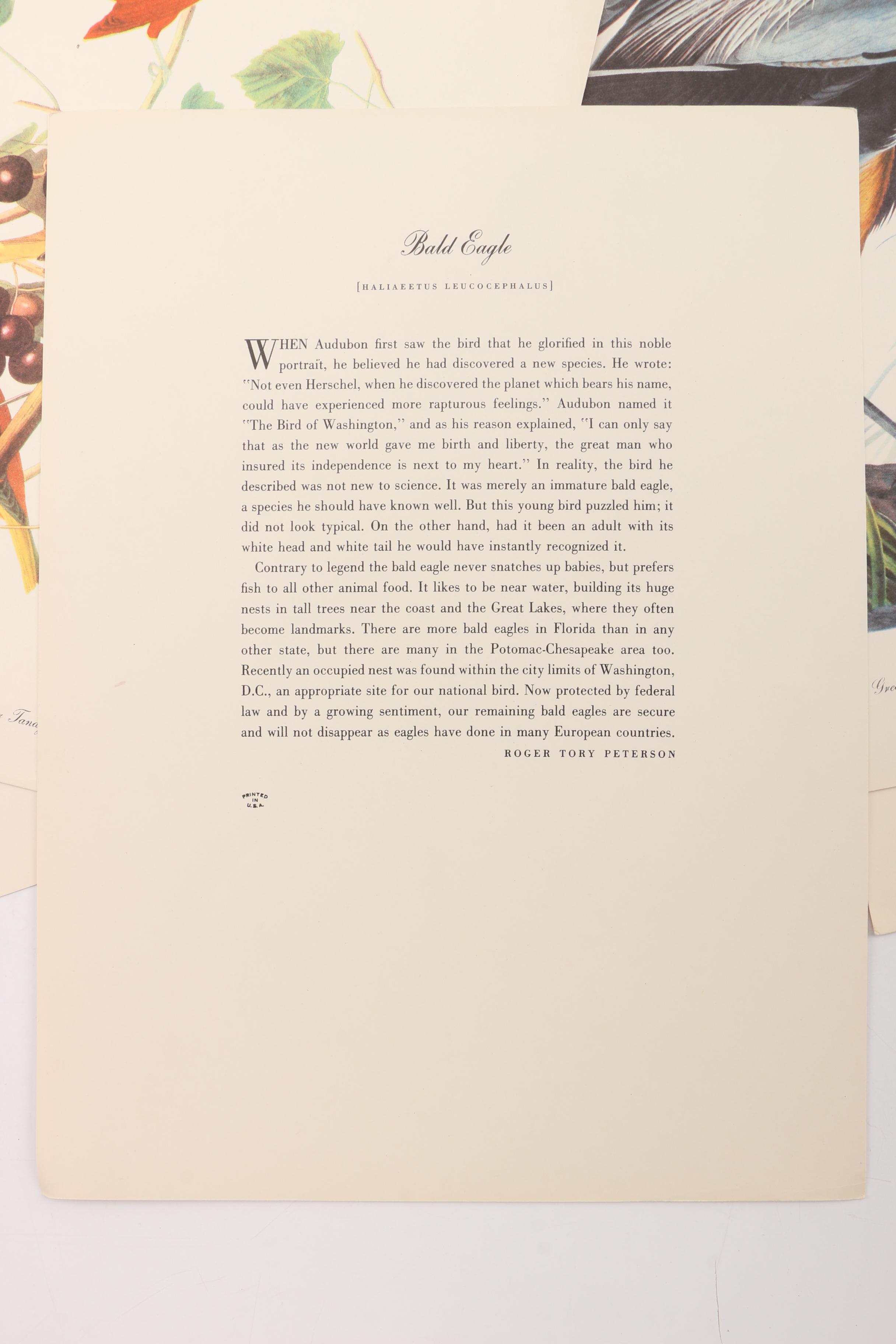 "Audubon Birds of America" and "Birds at Home"