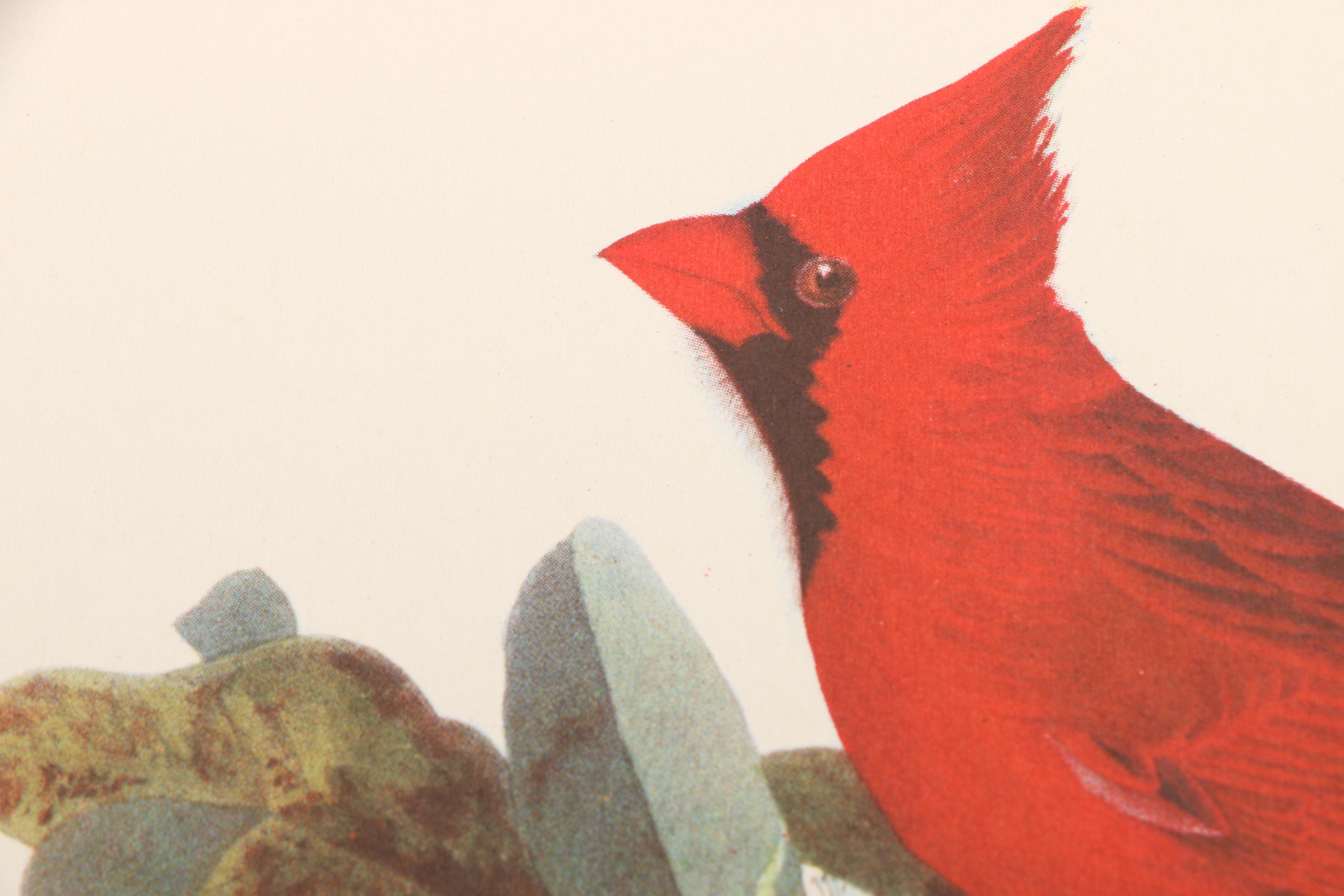 "Audubon Birds of America" and "Birds at Home"