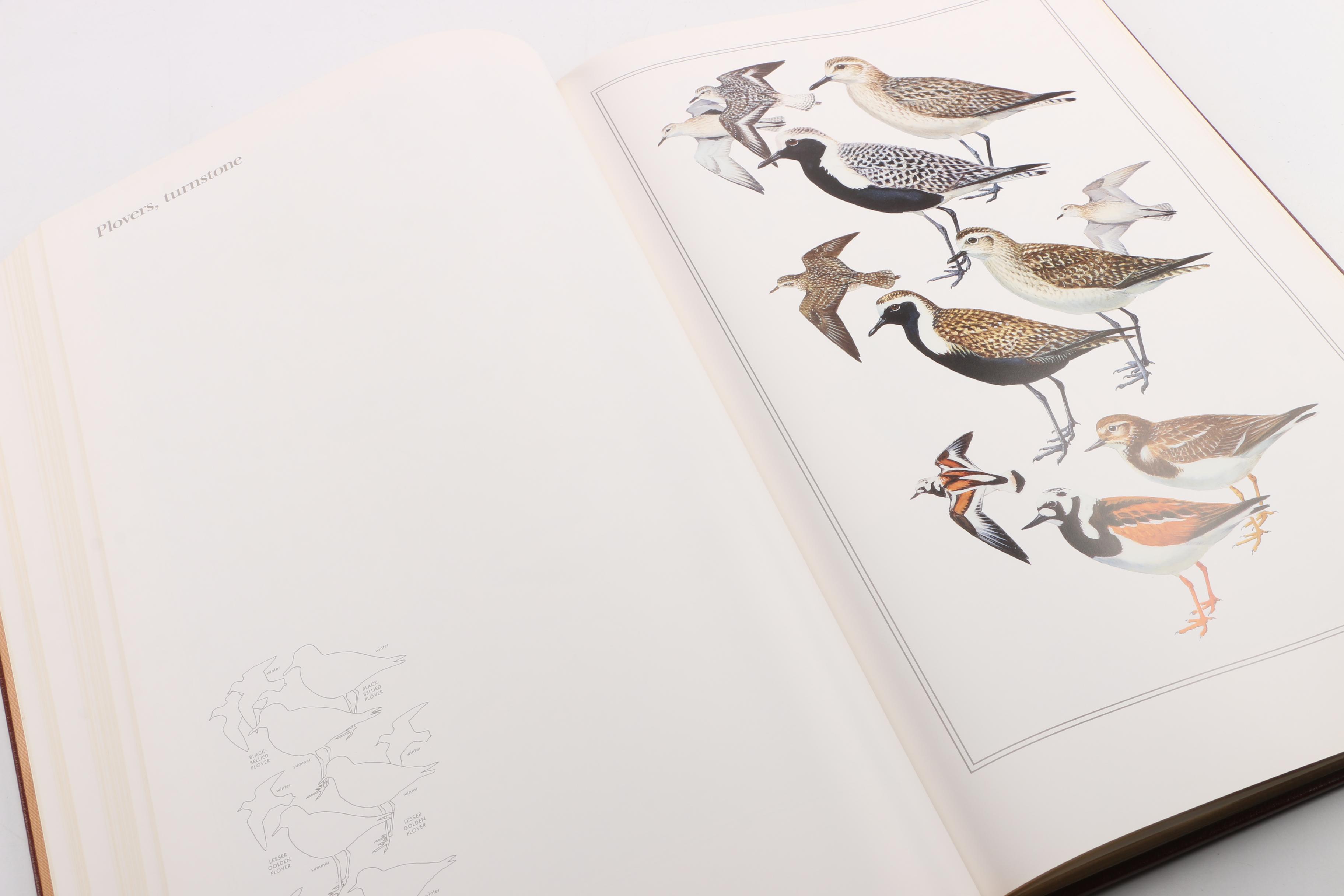 1990 Easton Press First Edition "The Field Guide Art of Roger Tory Peterson"