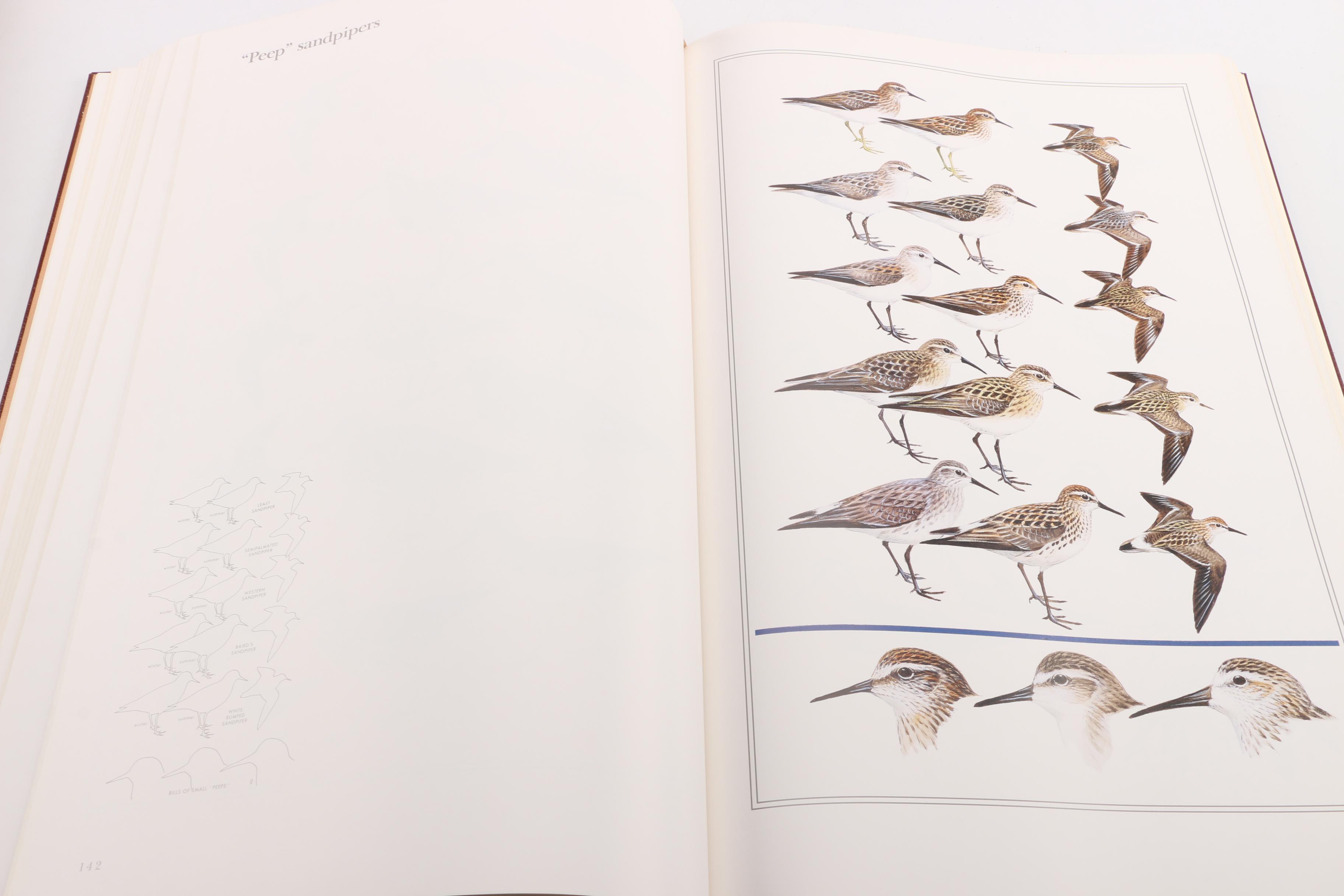 1990 Easton Press First Edition "The Field Guide Art of Roger Tory Peterson"