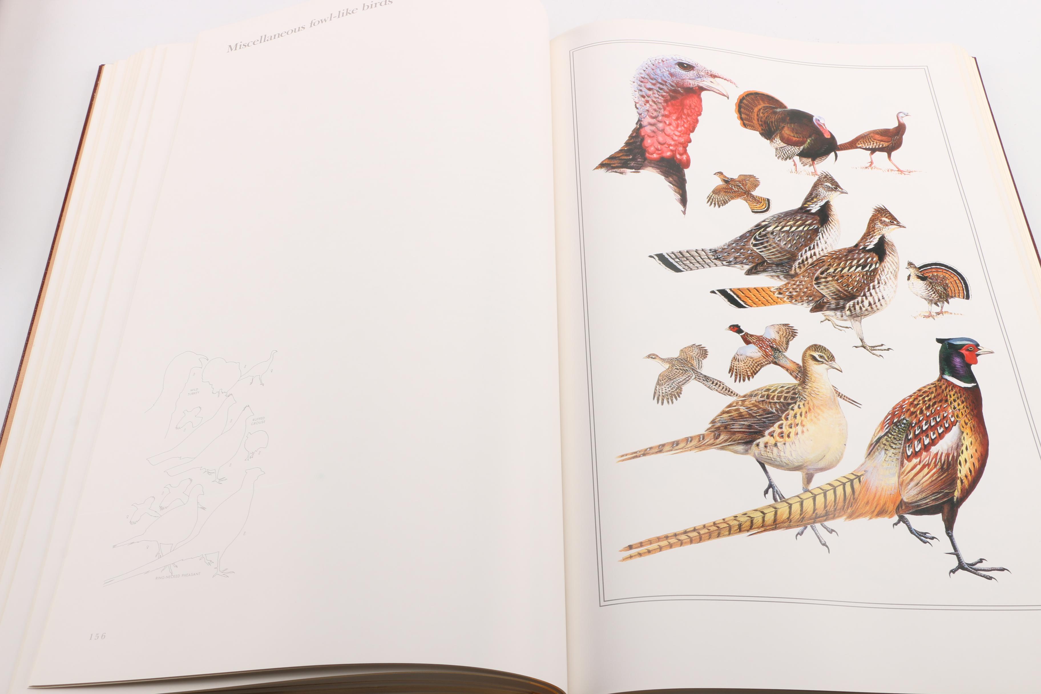 1990 Easton Press First Edition "The Field Guide Art of Roger Tory Peterson"