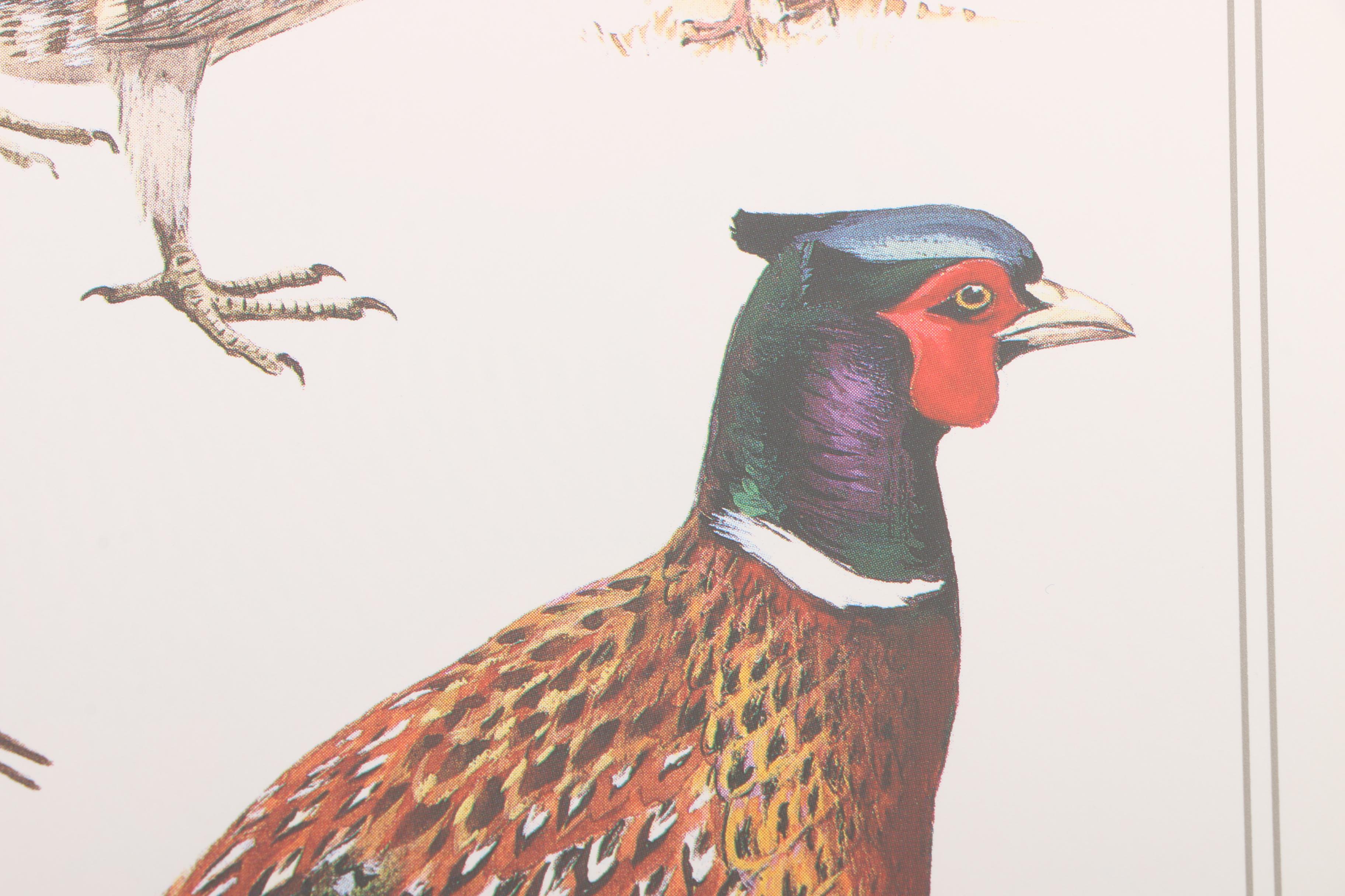 1990 Easton Press First Edition "The Field Guide Art of Roger Tory Peterson"