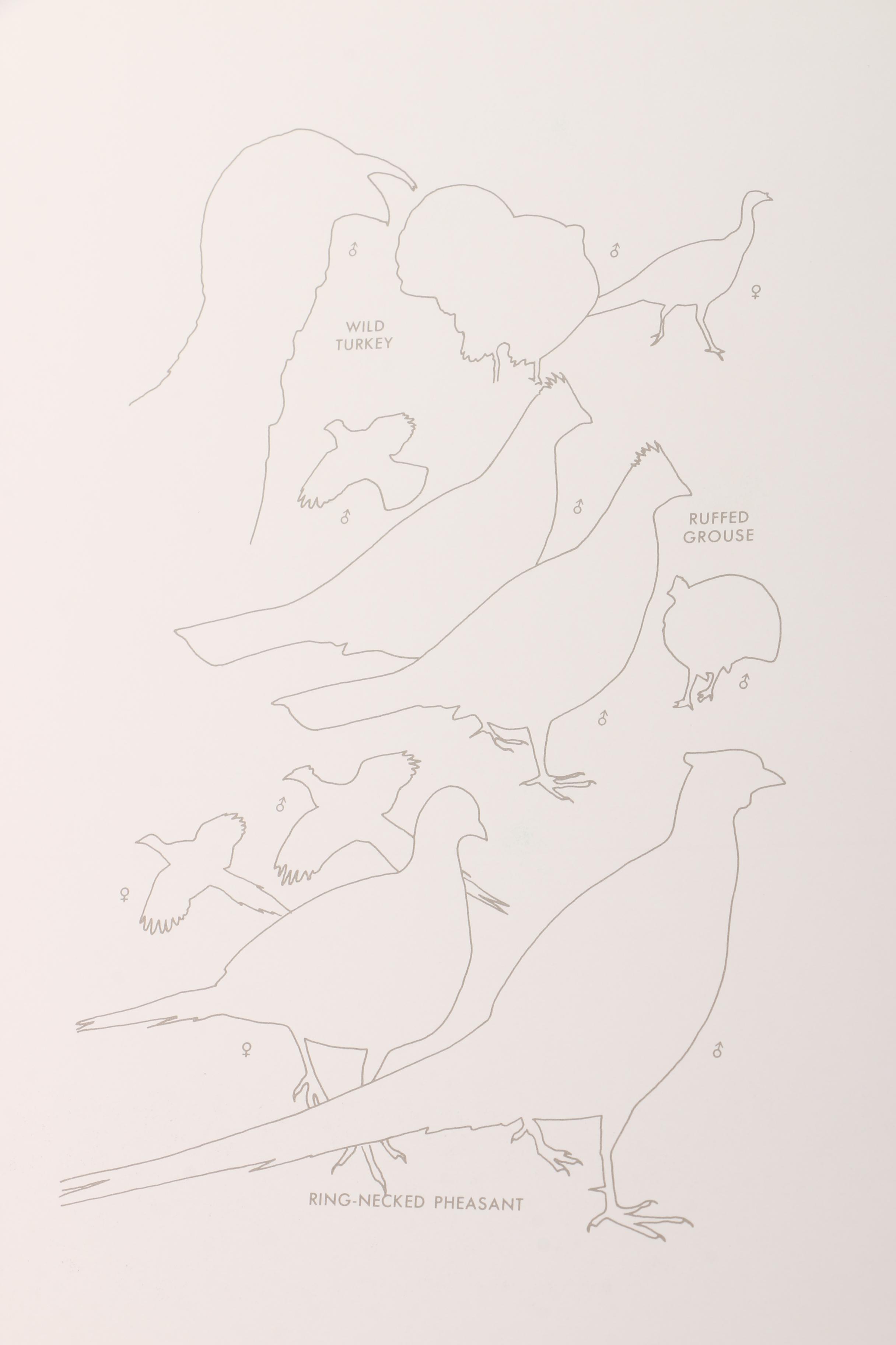 1990 Easton Press First Edition "The Field Guide Art of Roger Tory Peterson"