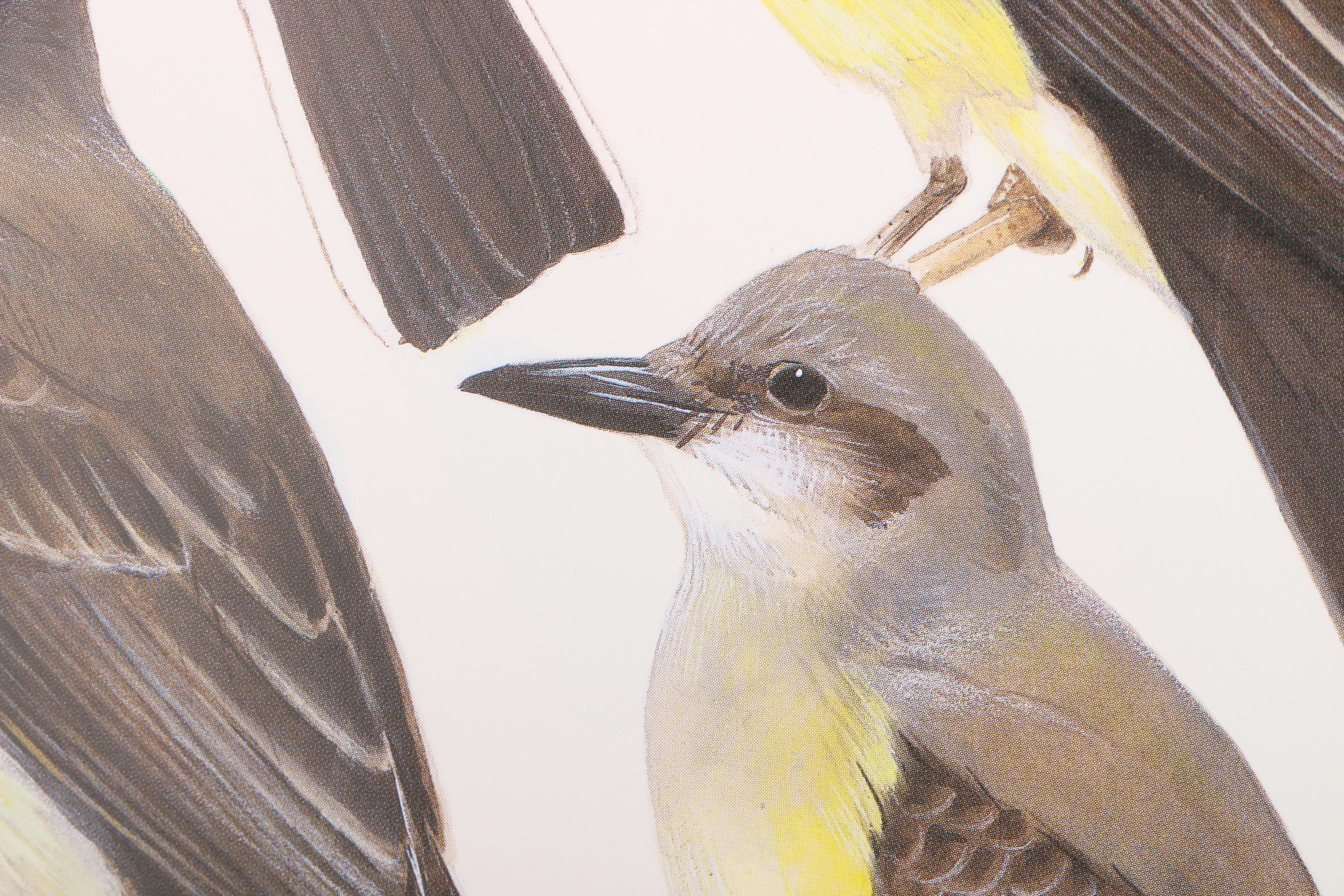 1990 Easton Press First Edition "The Field Guide Art of Roger Tory Peterson"