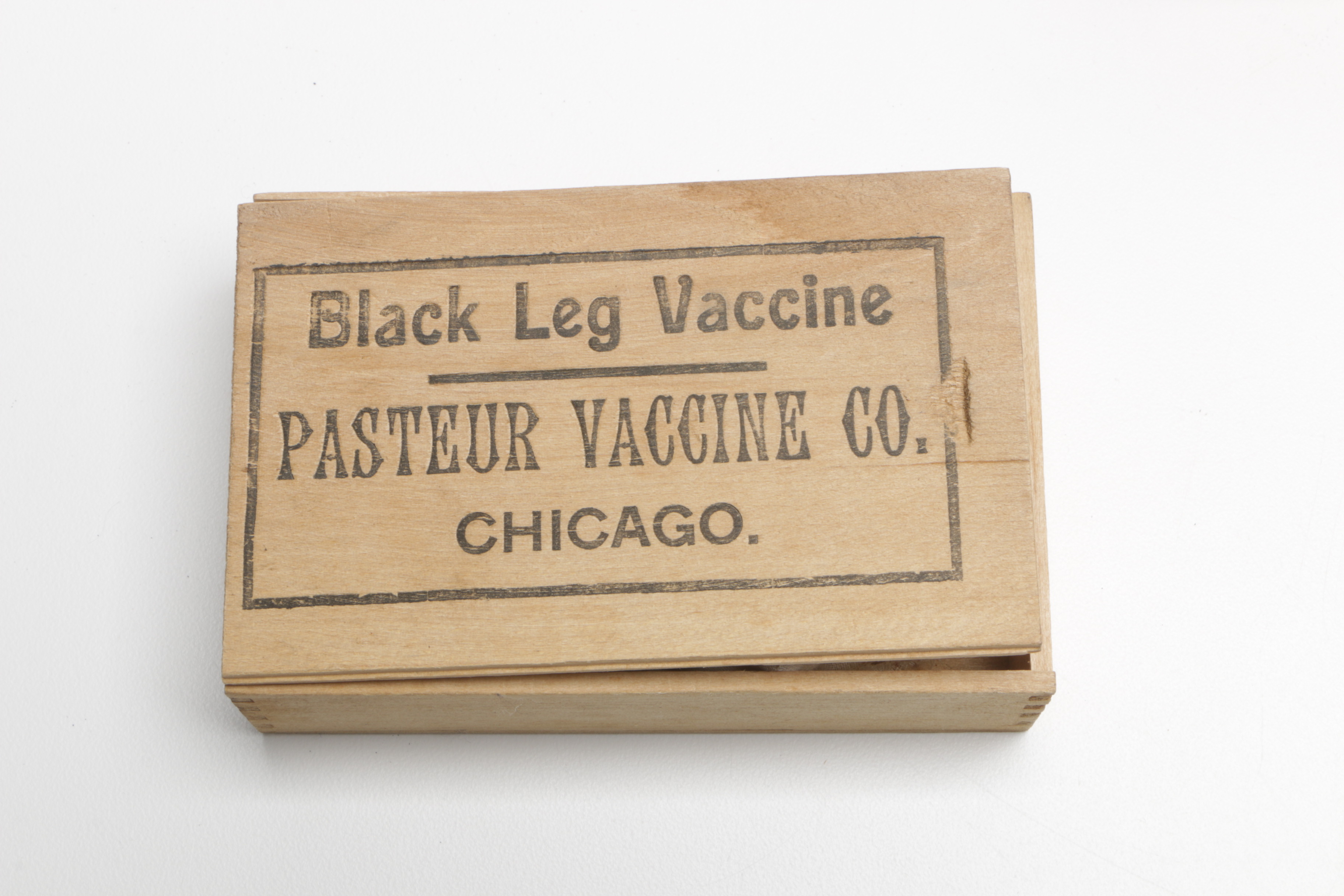 Antique Pasteur Vaccine Company Syringe With Needles