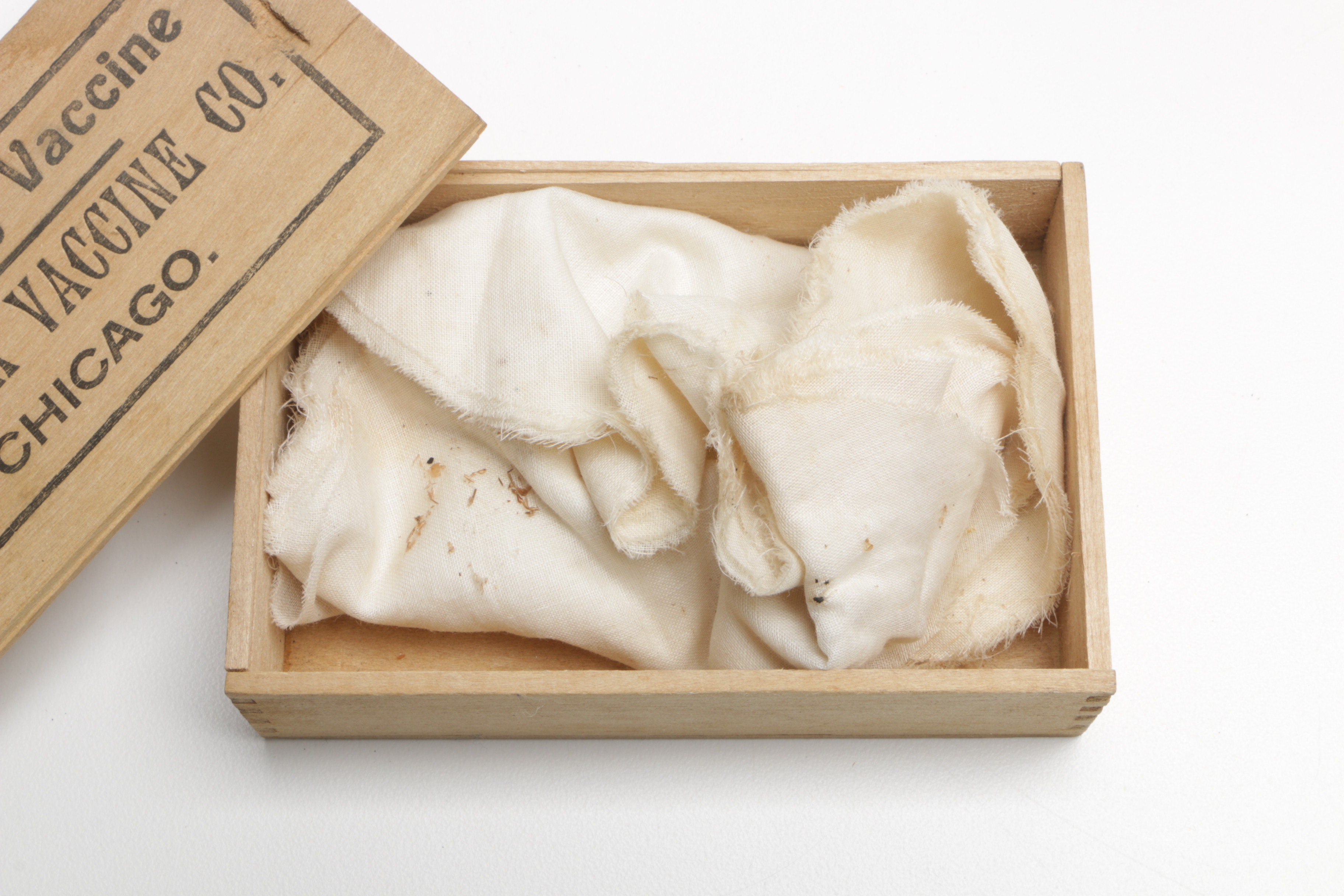 Antique Pasteur Vaccine Company Syringe With Needles