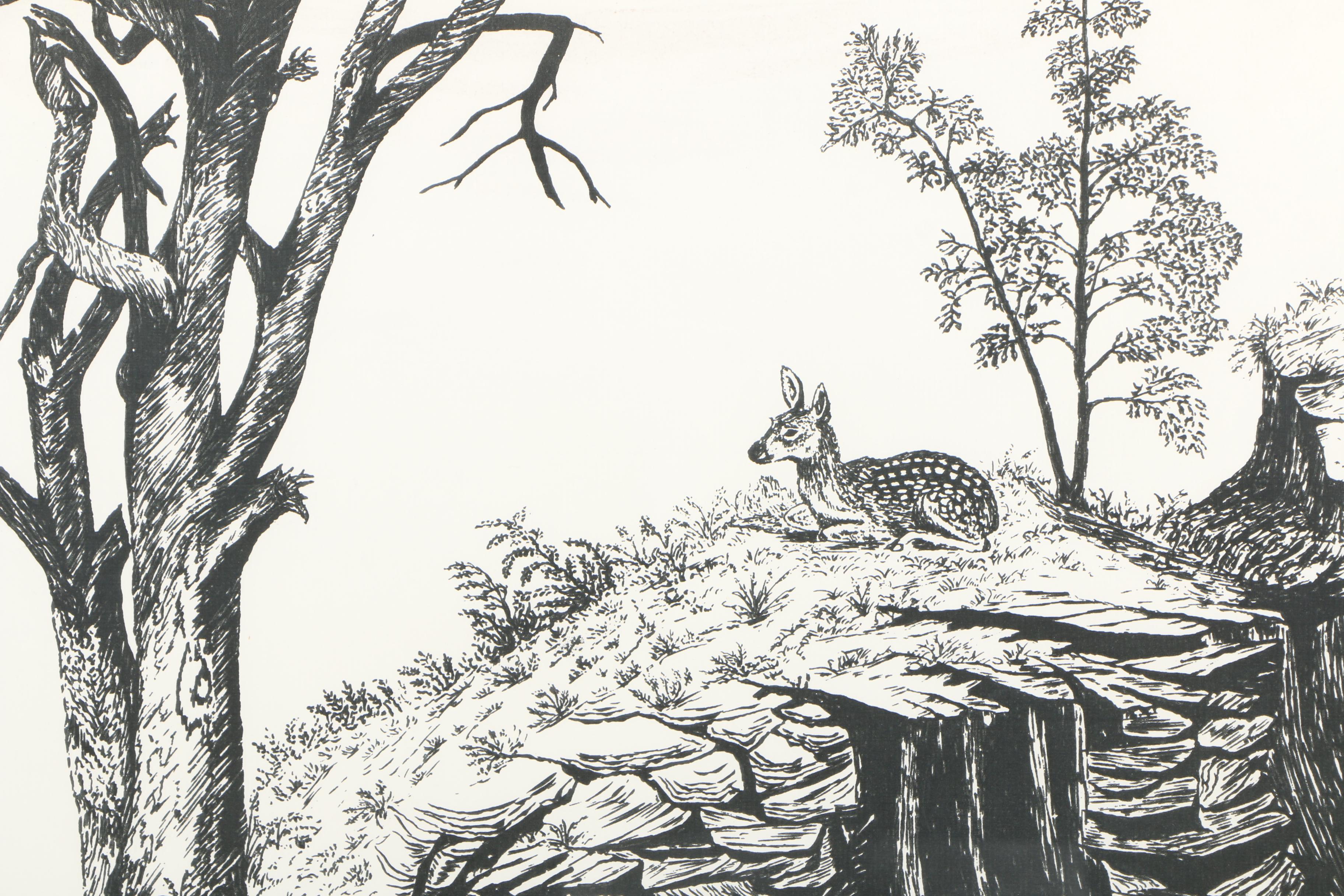 Serigraphs After Cliff McCurdy of Animals in Nature