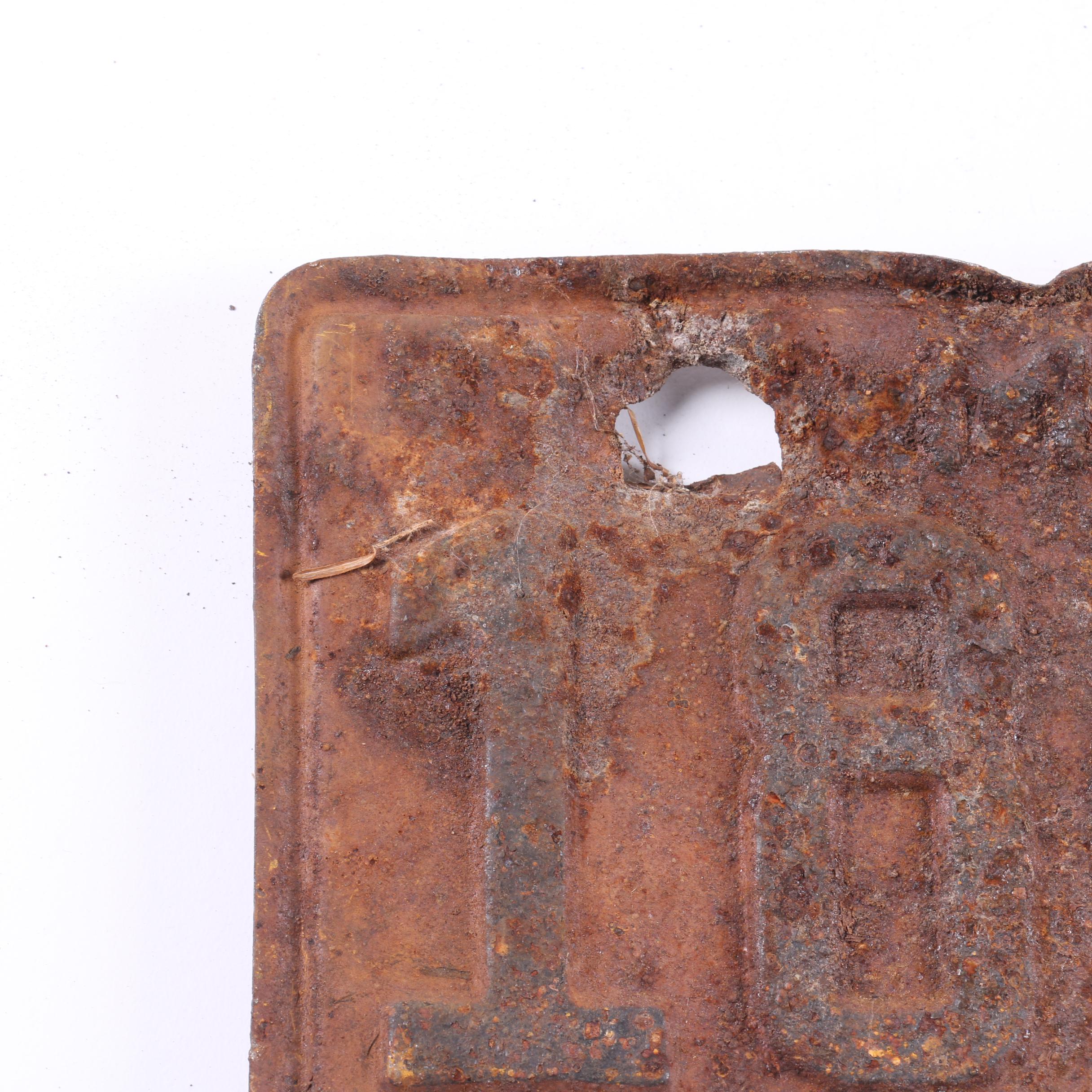 Vintage Florida and Michigan License Plates