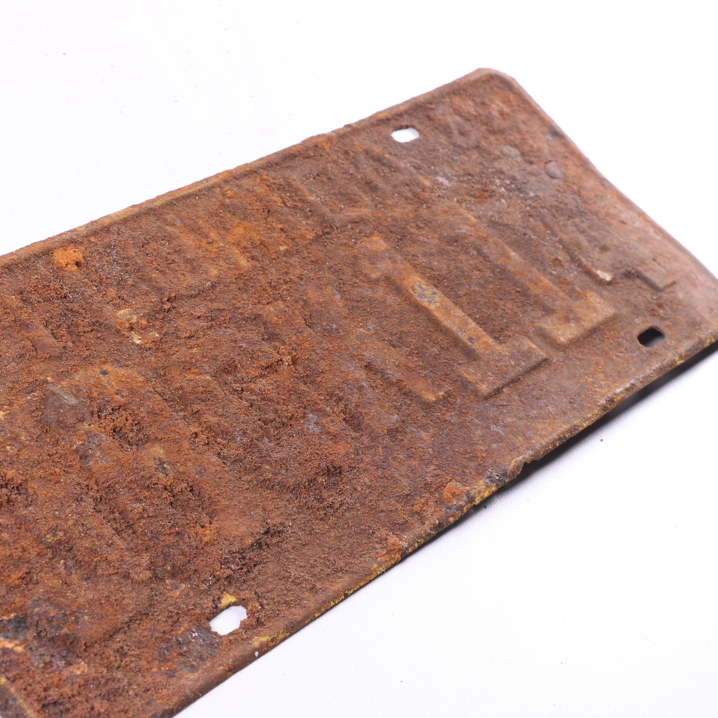 Vintage Florida and Michigan License Plates