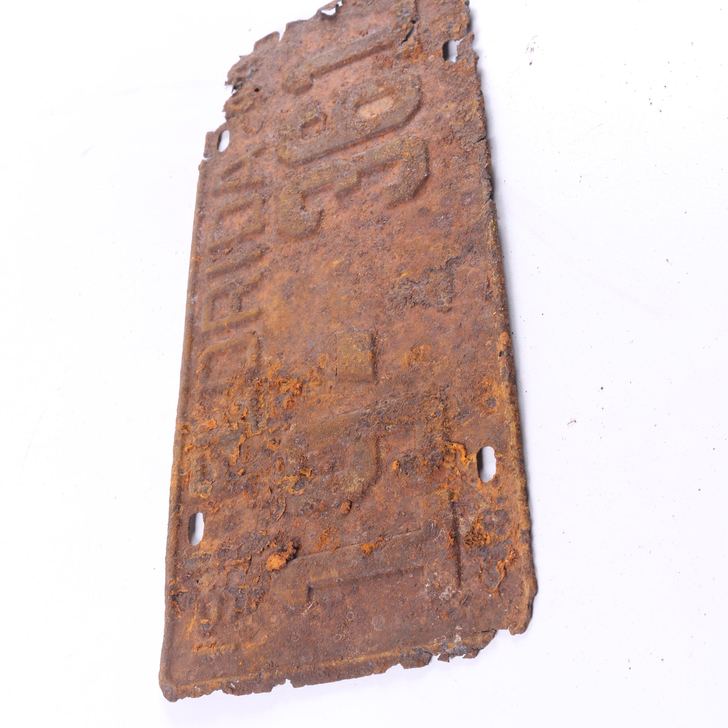 Vintage Florida and Michigan License Plates