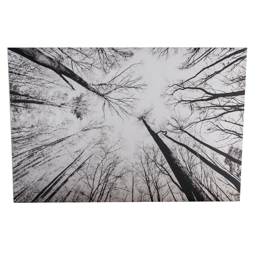 Offset Lithograph on Canvas After Robert Kohlhuber Photograph of Forest