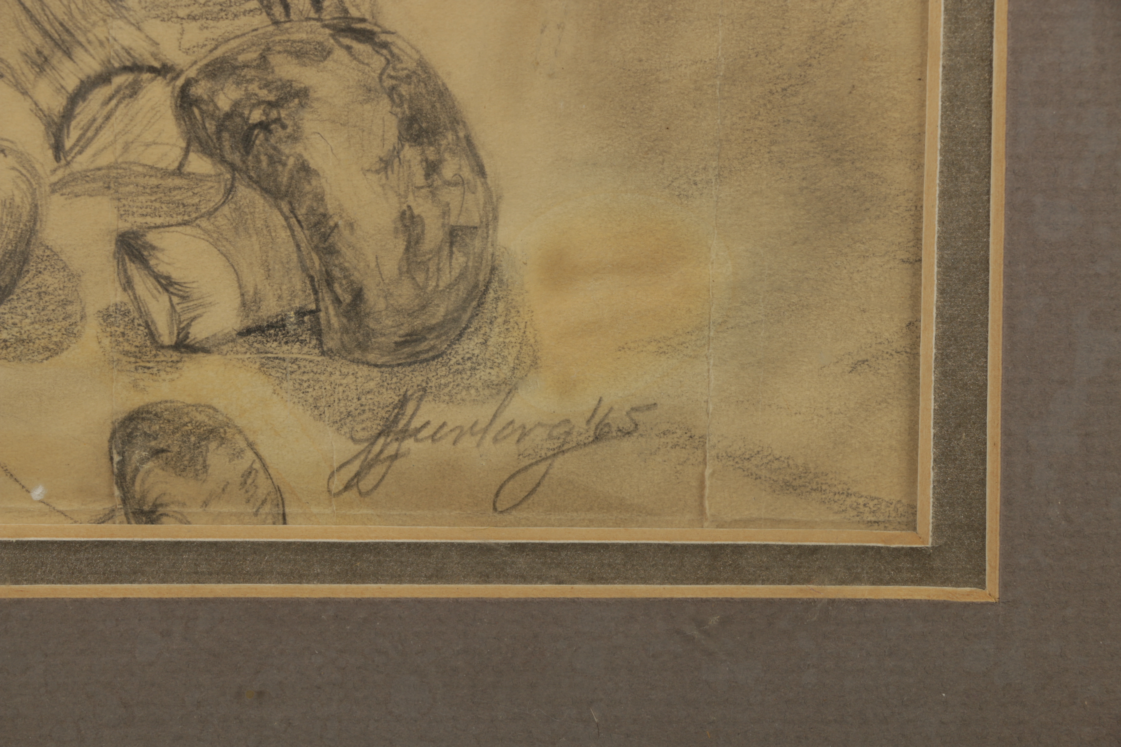 Laura Furlong Graphite Drawing "The Night I Bought Mushrooms"