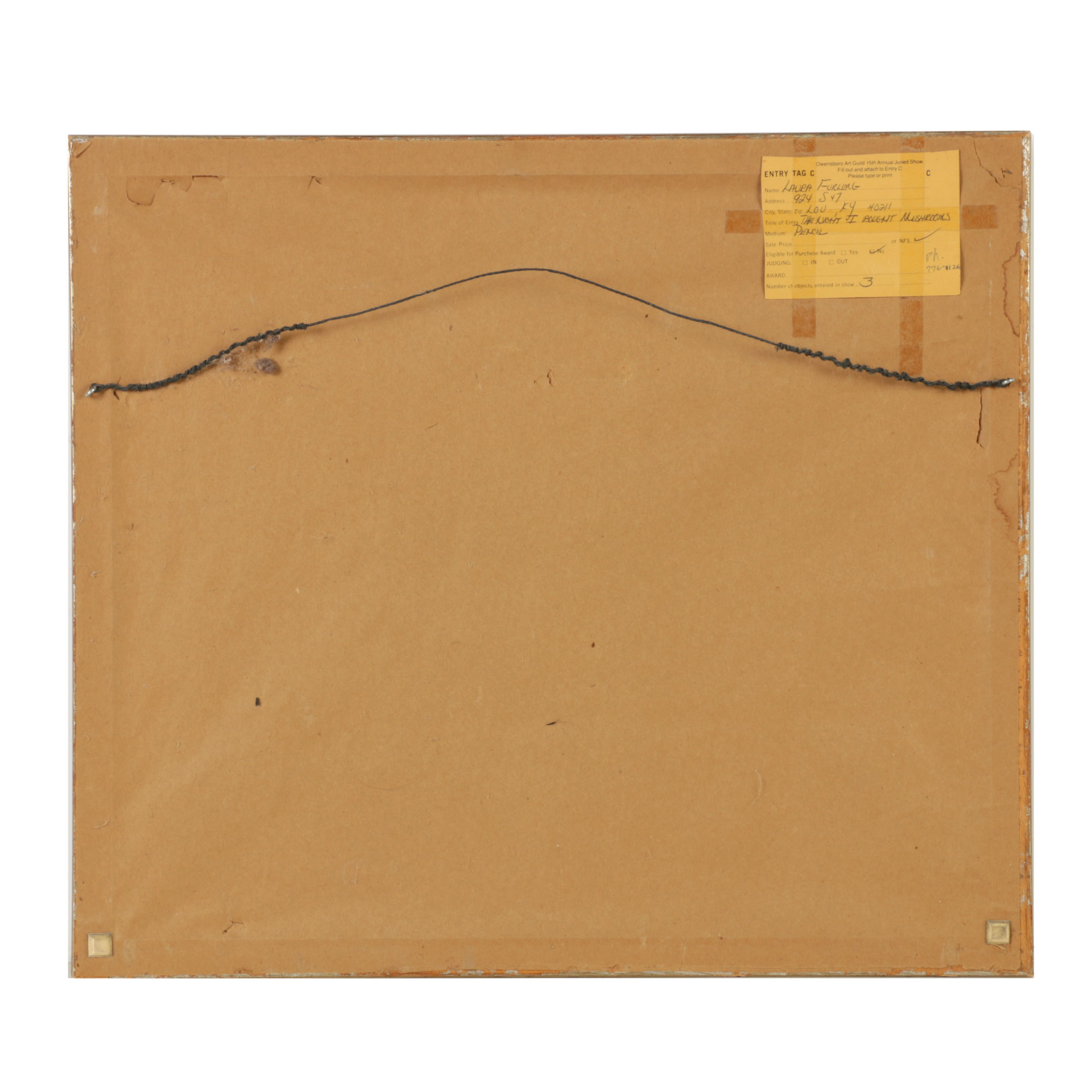 Laura Furlong Graphite Drawing "The Night I Bought Mushrooms"