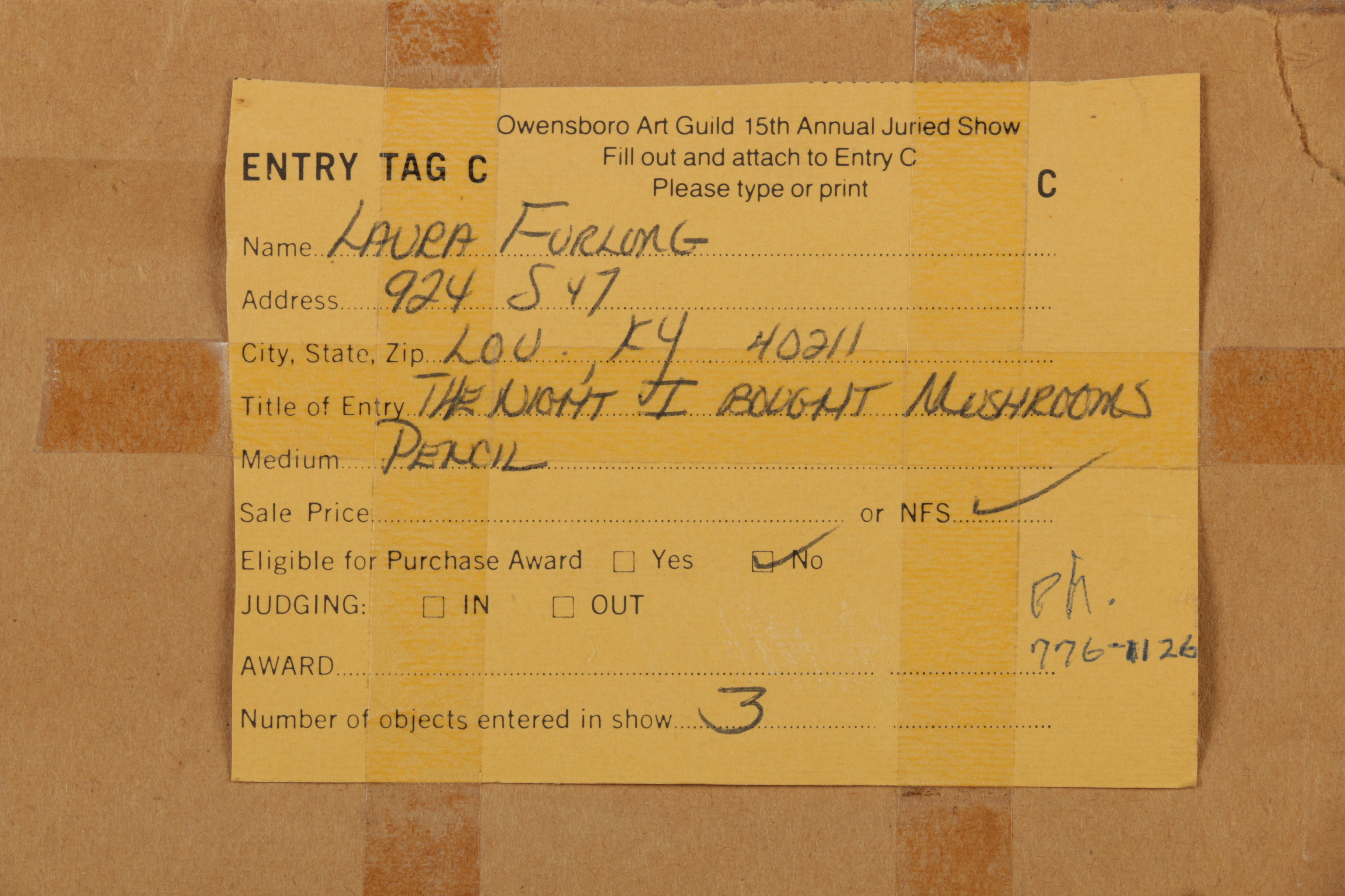 Laura Furlong Graphite Drawing "The Night I Bought Mushrooms"