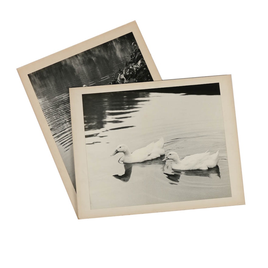 Two Don Dover Black and White Photographs Including "Ripples"