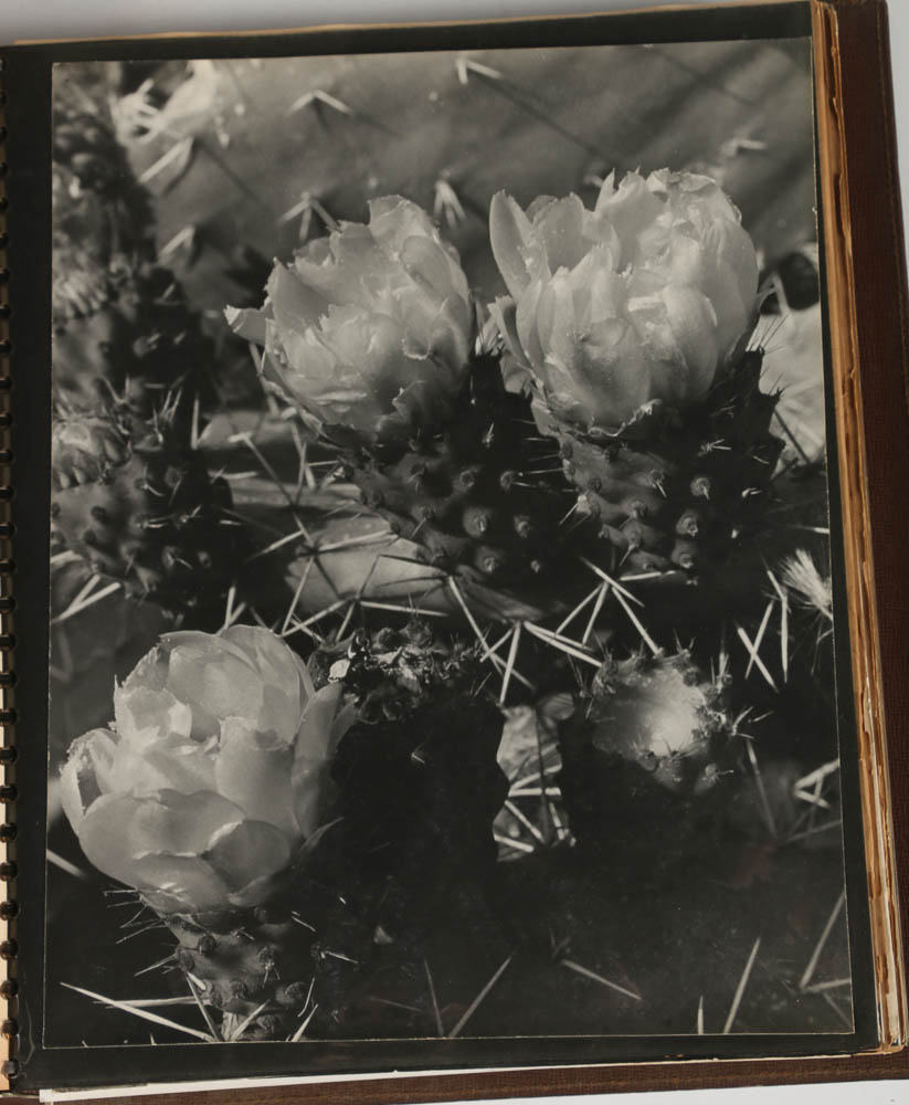 Don Dover Photographs