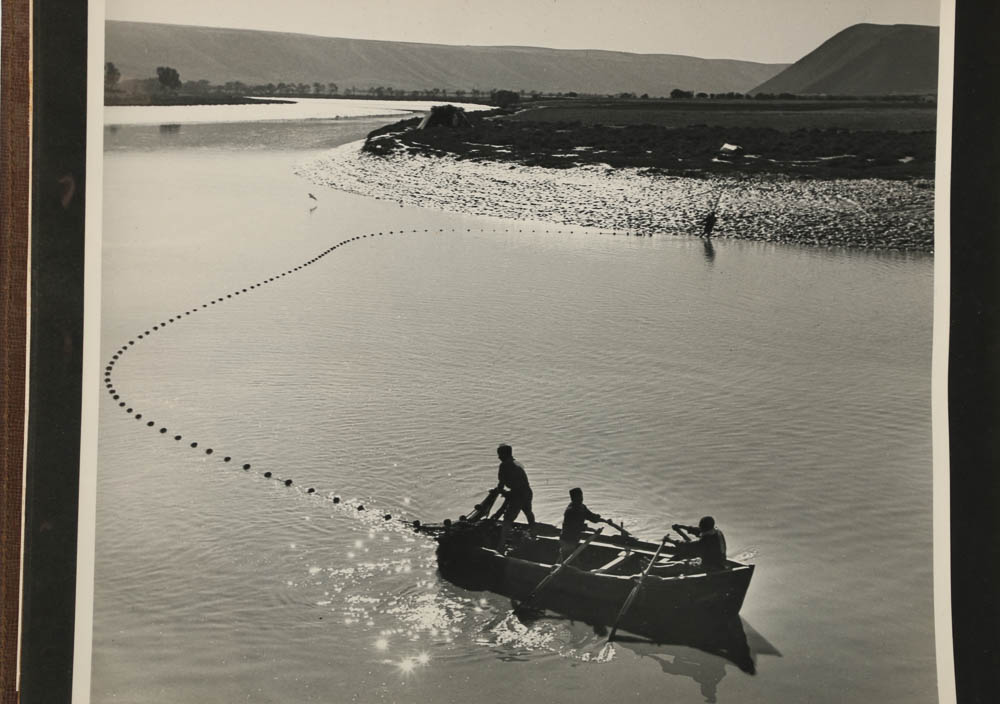 Don Dover Photographs