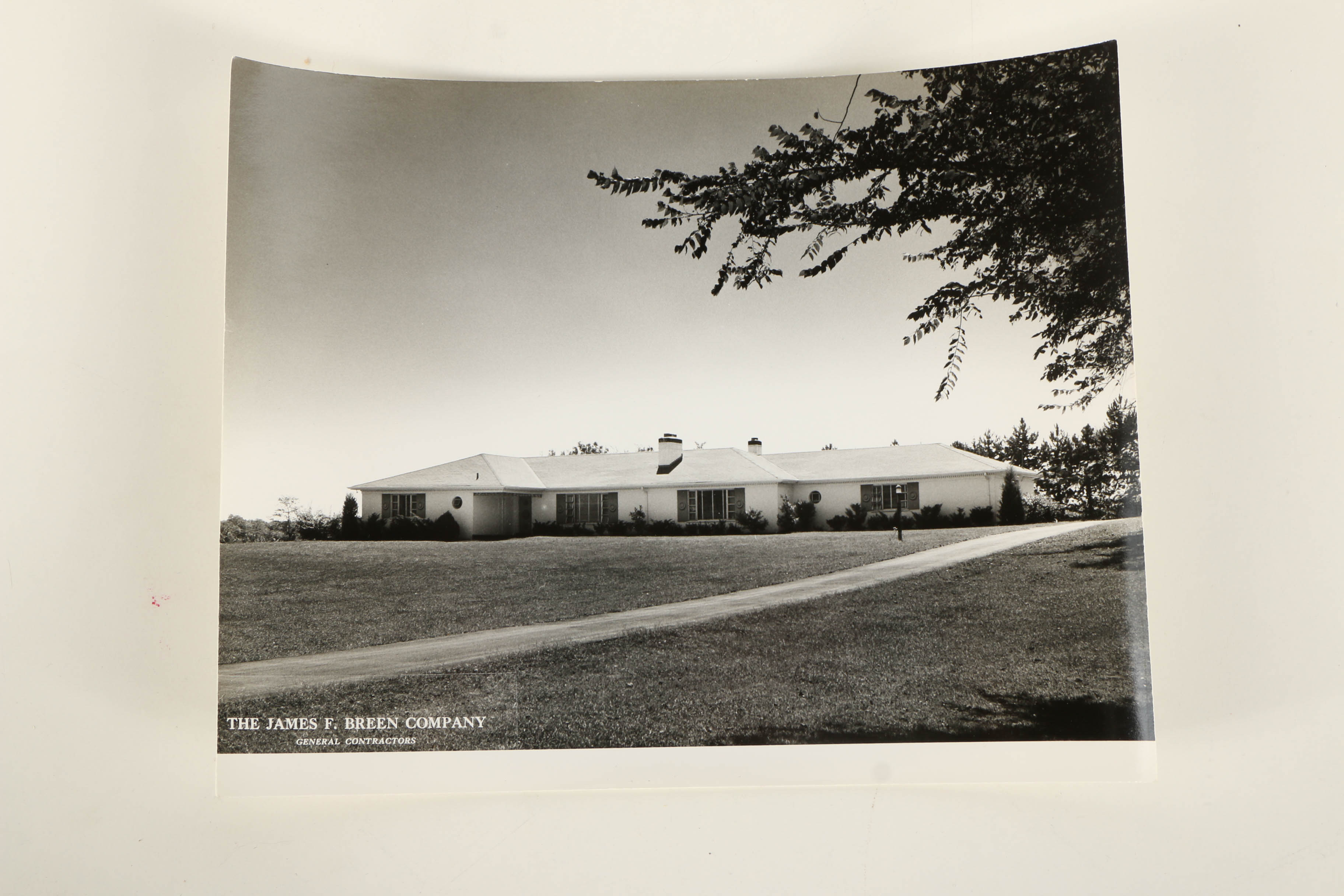 Don Dover Mid Century Photographs