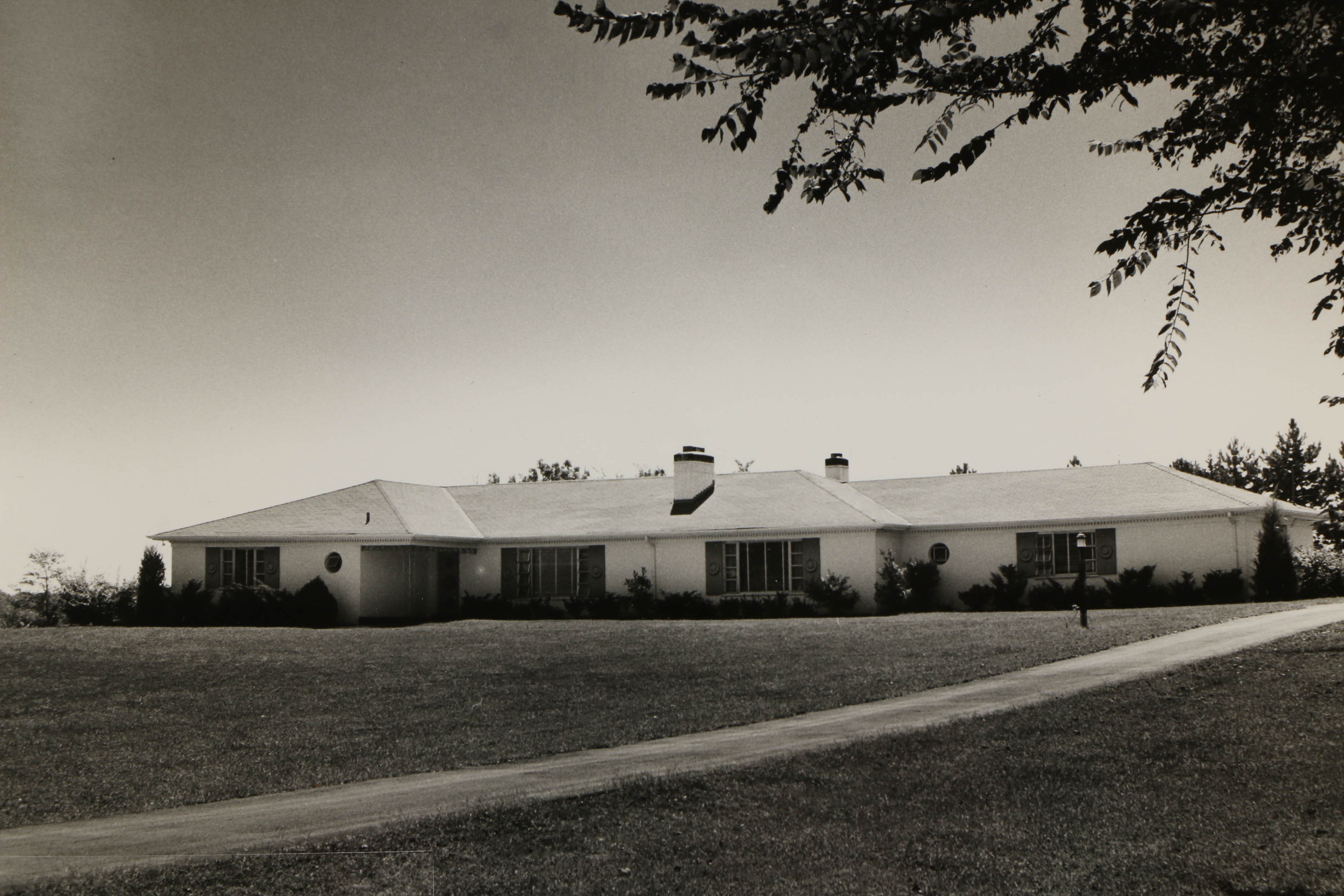 Don Dover Mid Century Photographs